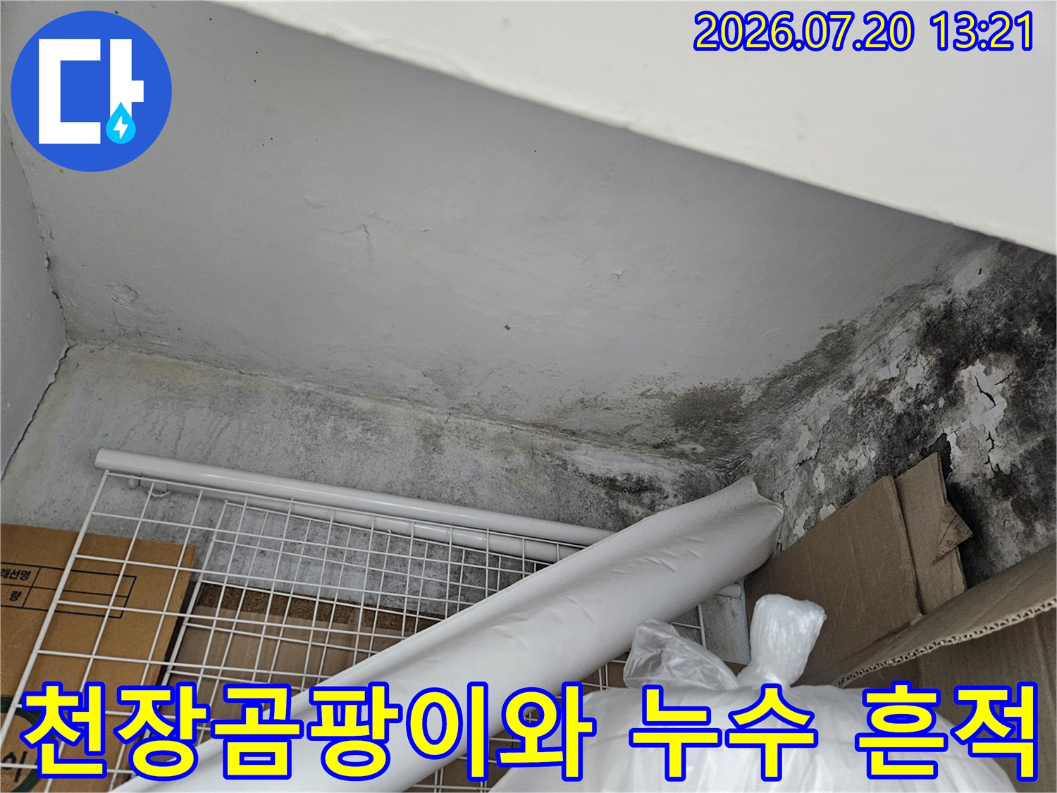 천장에 발생한 검은 곰팡이와 물때로 인한 오염 상태