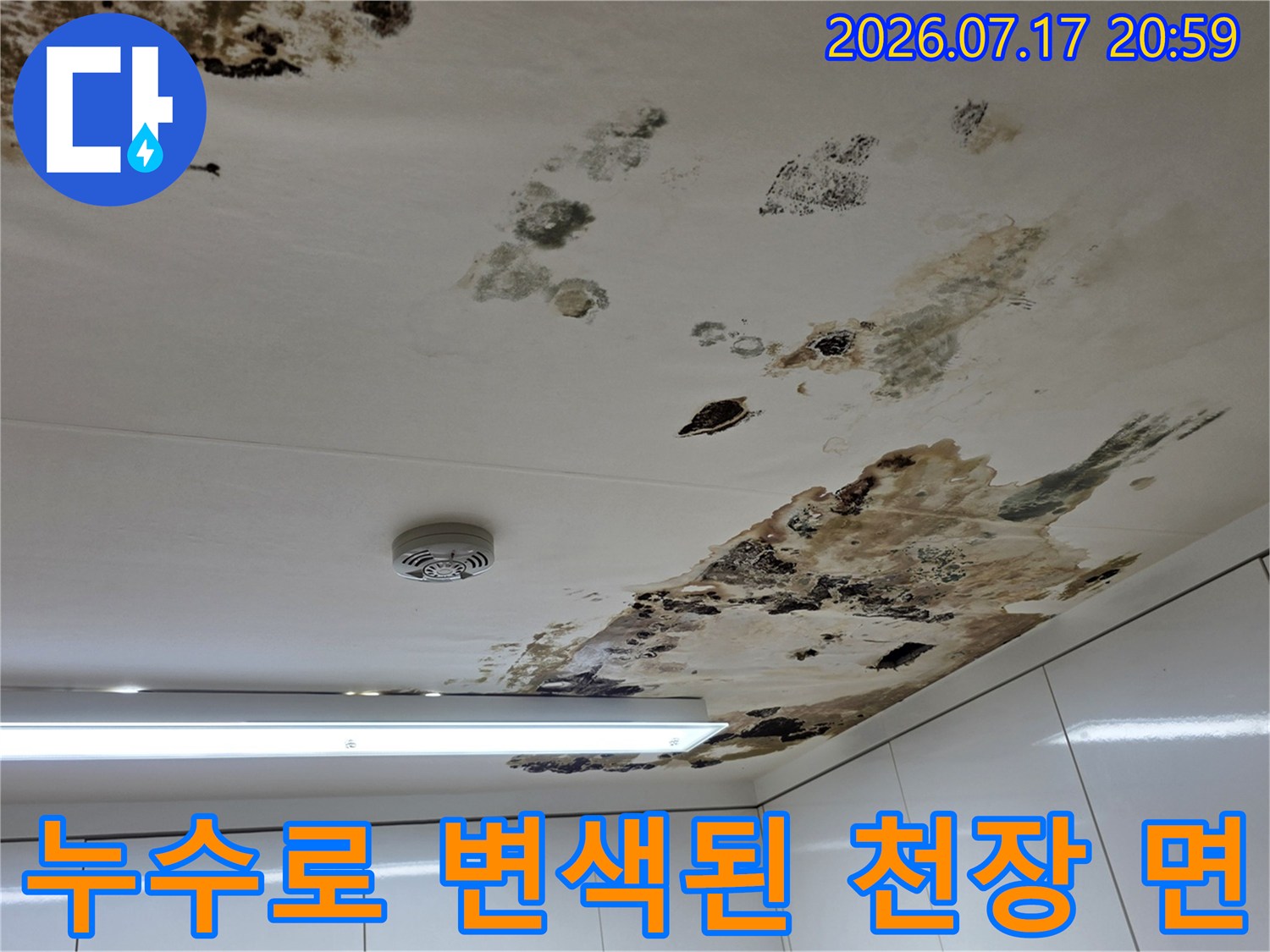 곰팡이와 누수 얼룩으로 손상된 천장 내부 상태