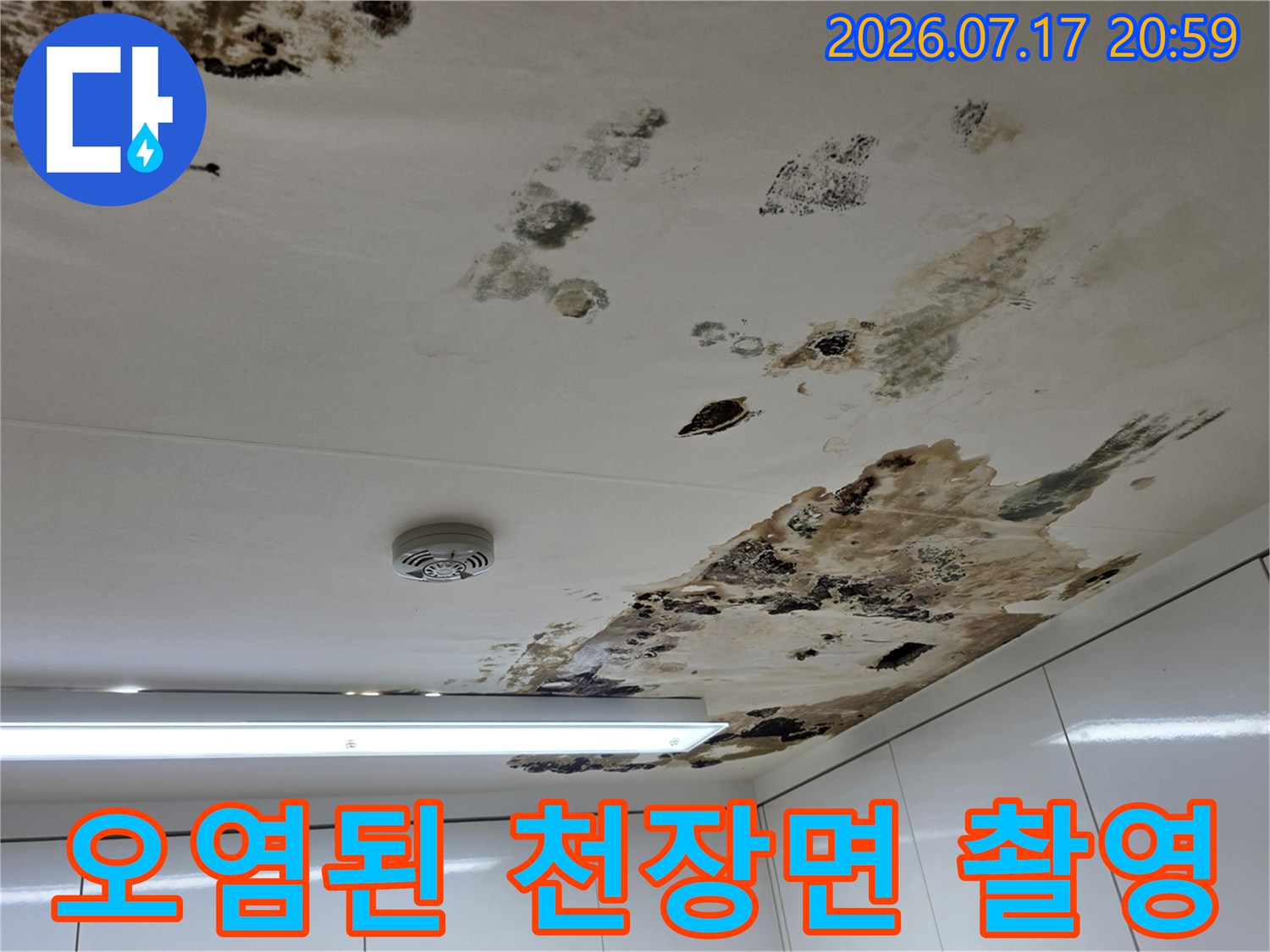 누수와 곰팡이로 인해 손상된 아파트 천장부