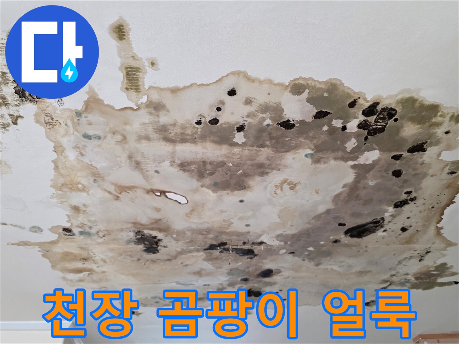 아파트-거실-천장-부분적인-곰팡이와-심한-물얼룩-상태
