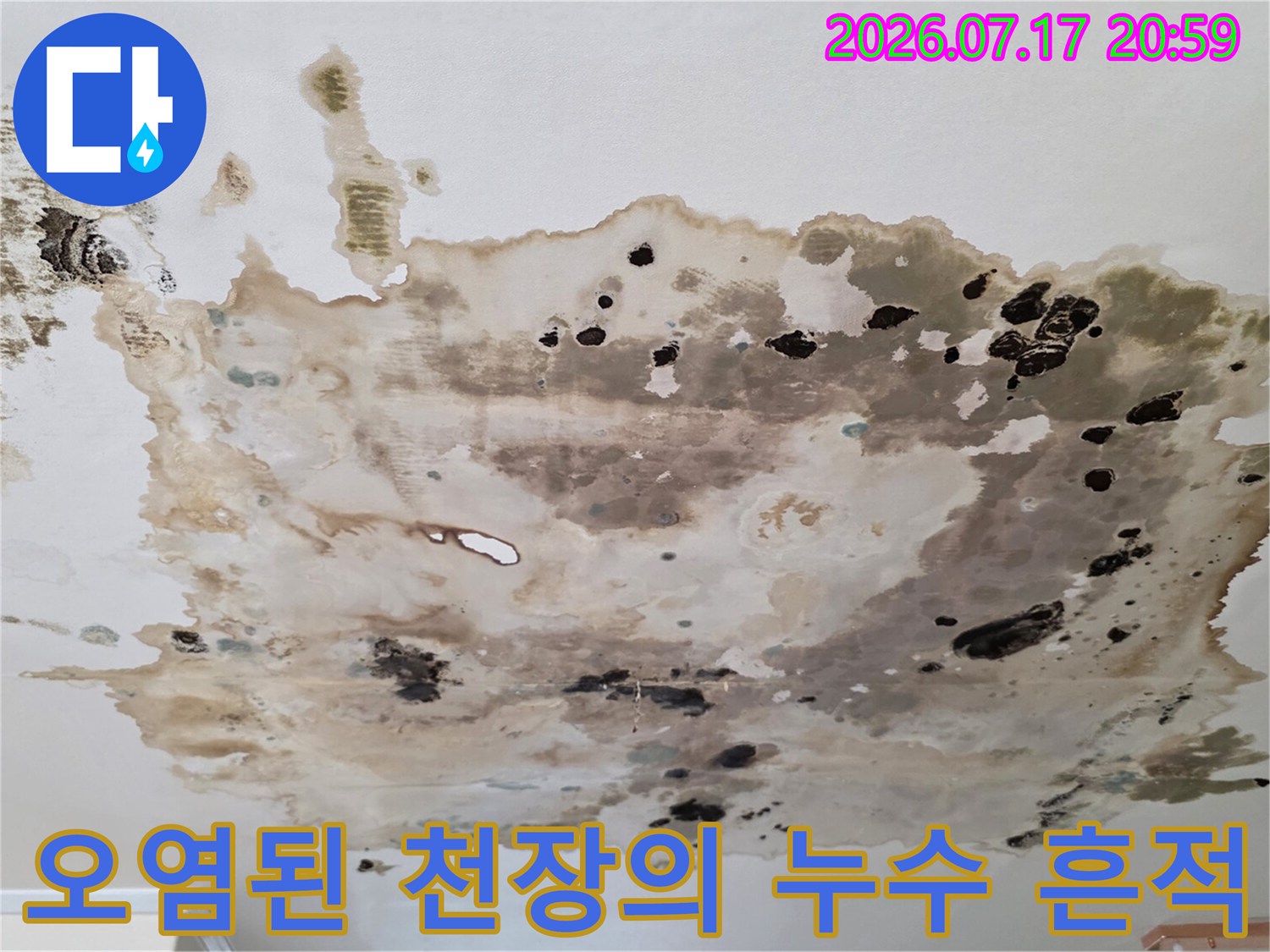 지속적인 수분 유출로 인해 아래층 천장이 심각하게 오염된 상태의 사진
