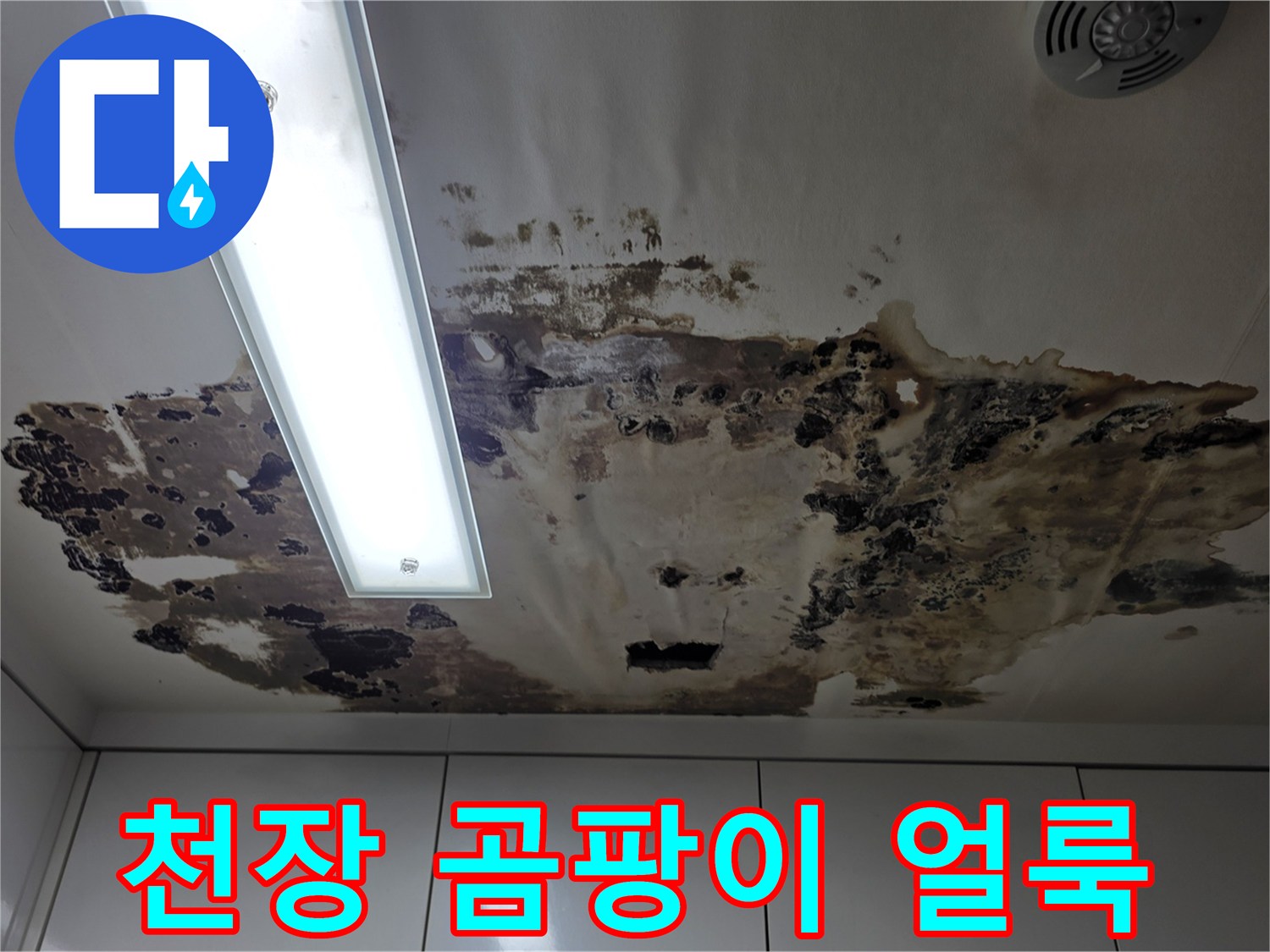 천장-패널에-생긴-심한-곰팡이와-물자국