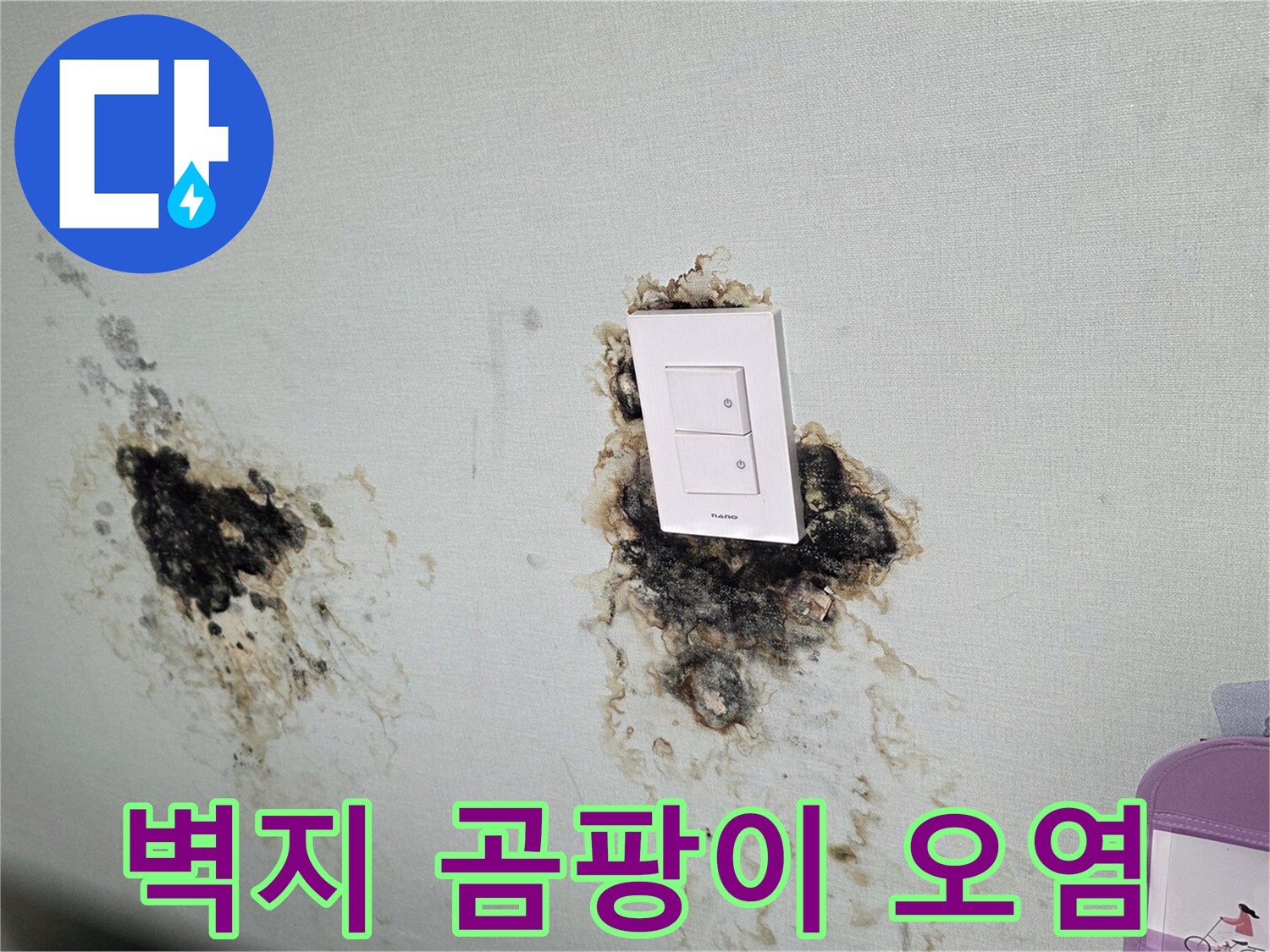 스위치 주변 벽면-심각한 물자국과 곰팡이 발생