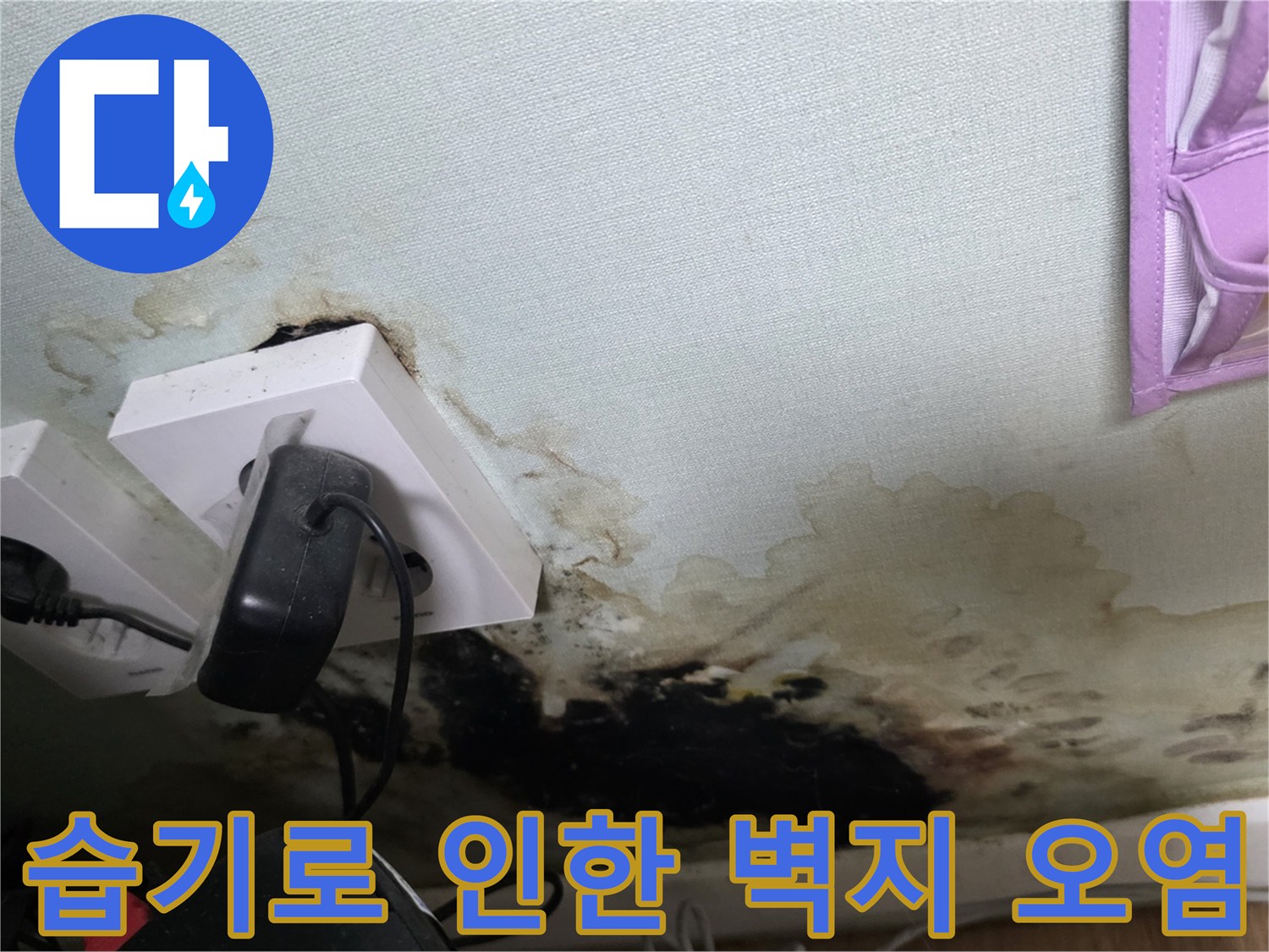 콘센트 주변에 발생한-검은색 곰팡이와 습기 머금은 벽면