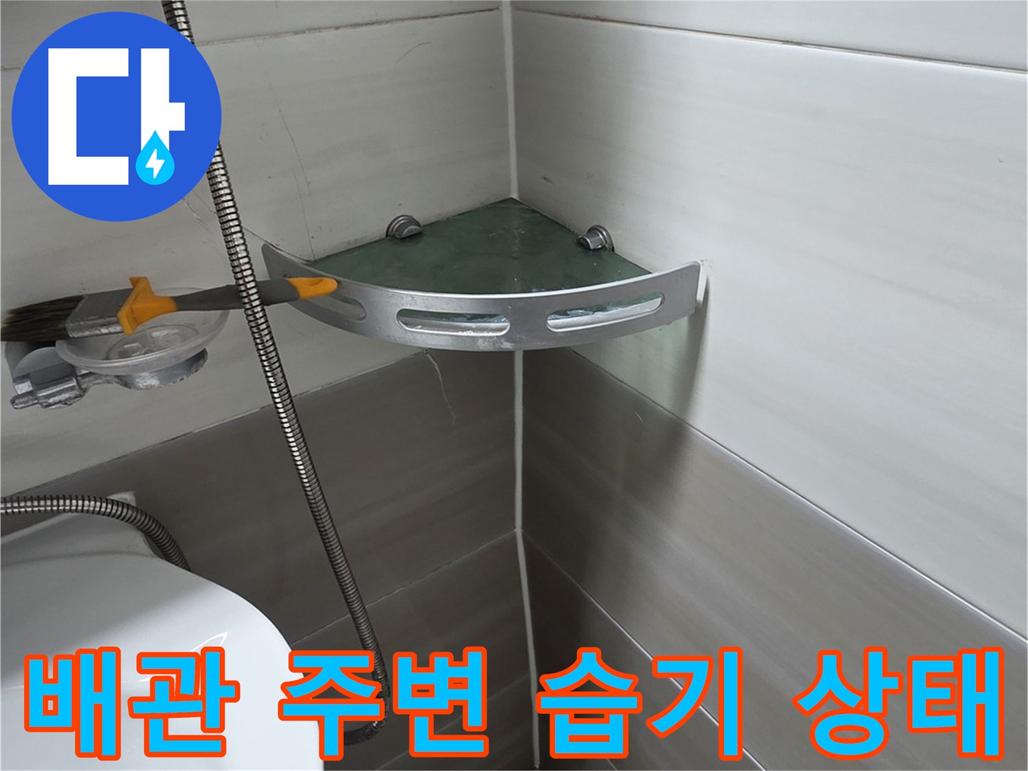 욕실-천장-배관-연결-부위-상태-조사