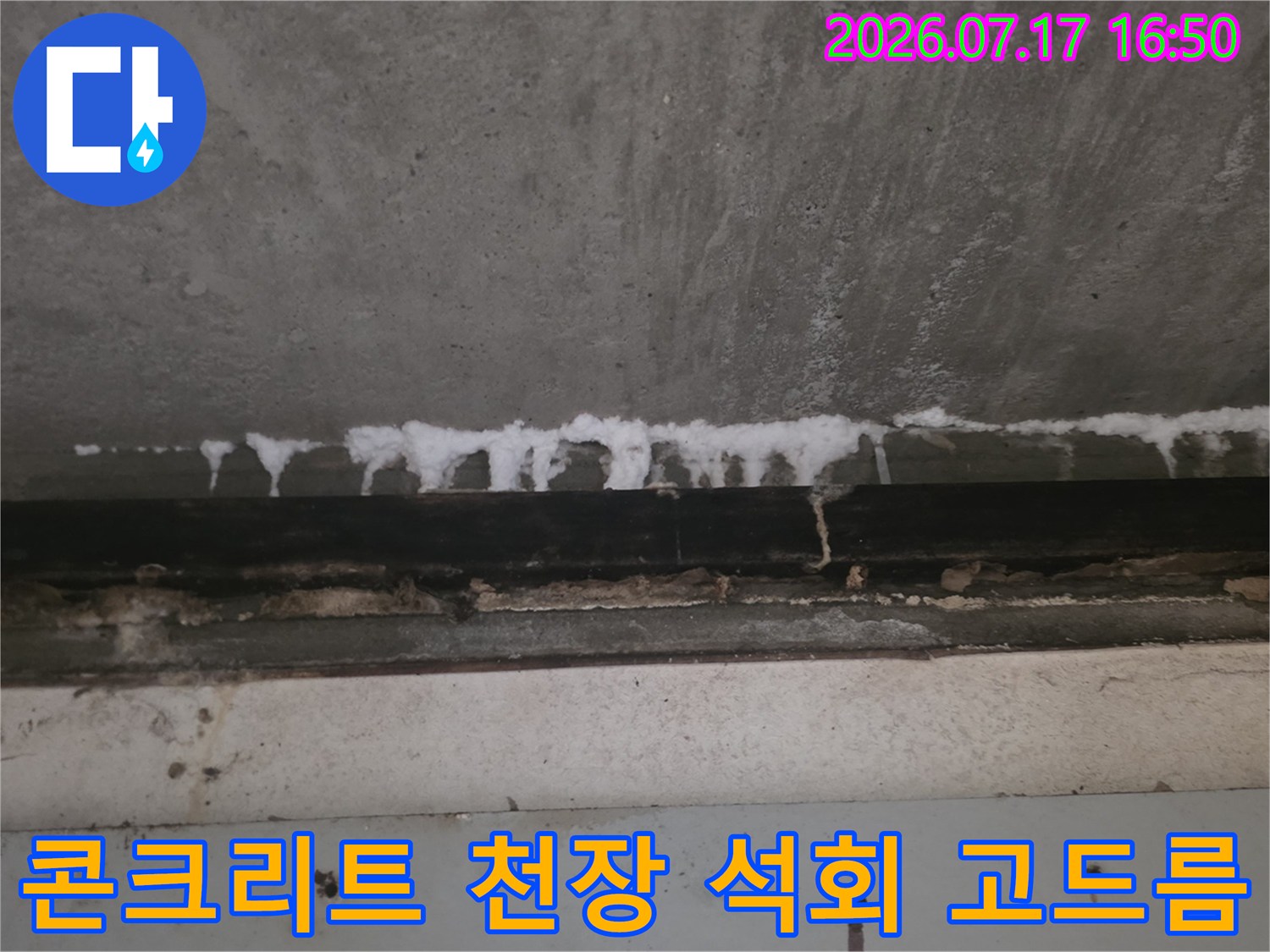 콘크리트 천장의 접합 부위를 따라 하얀색 석회질이 맺혀 있는 모습