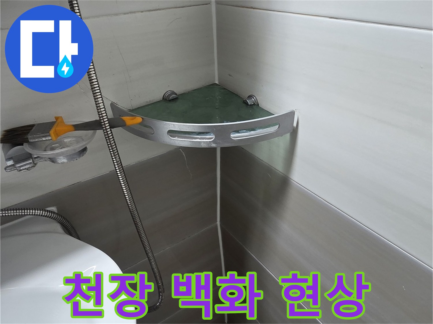 하얀-석회물이-맺힌-천장-타일-부위