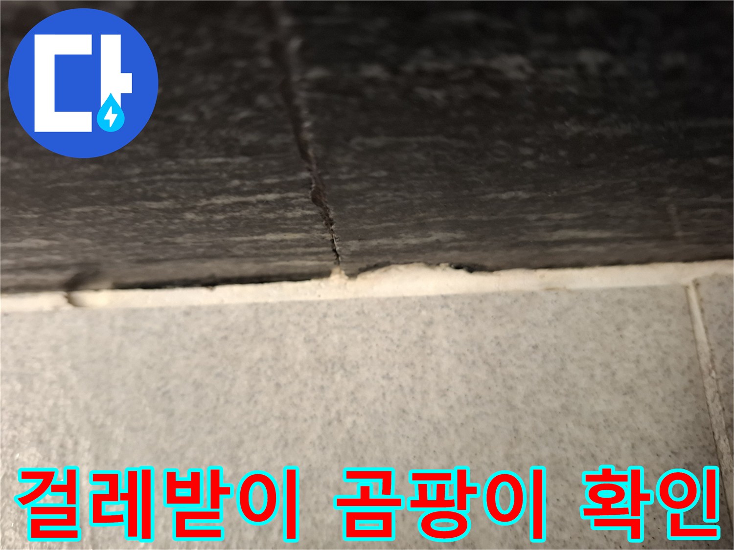 거실 벽면 하단부의 곰패 및 습기 노출 상태 설명
