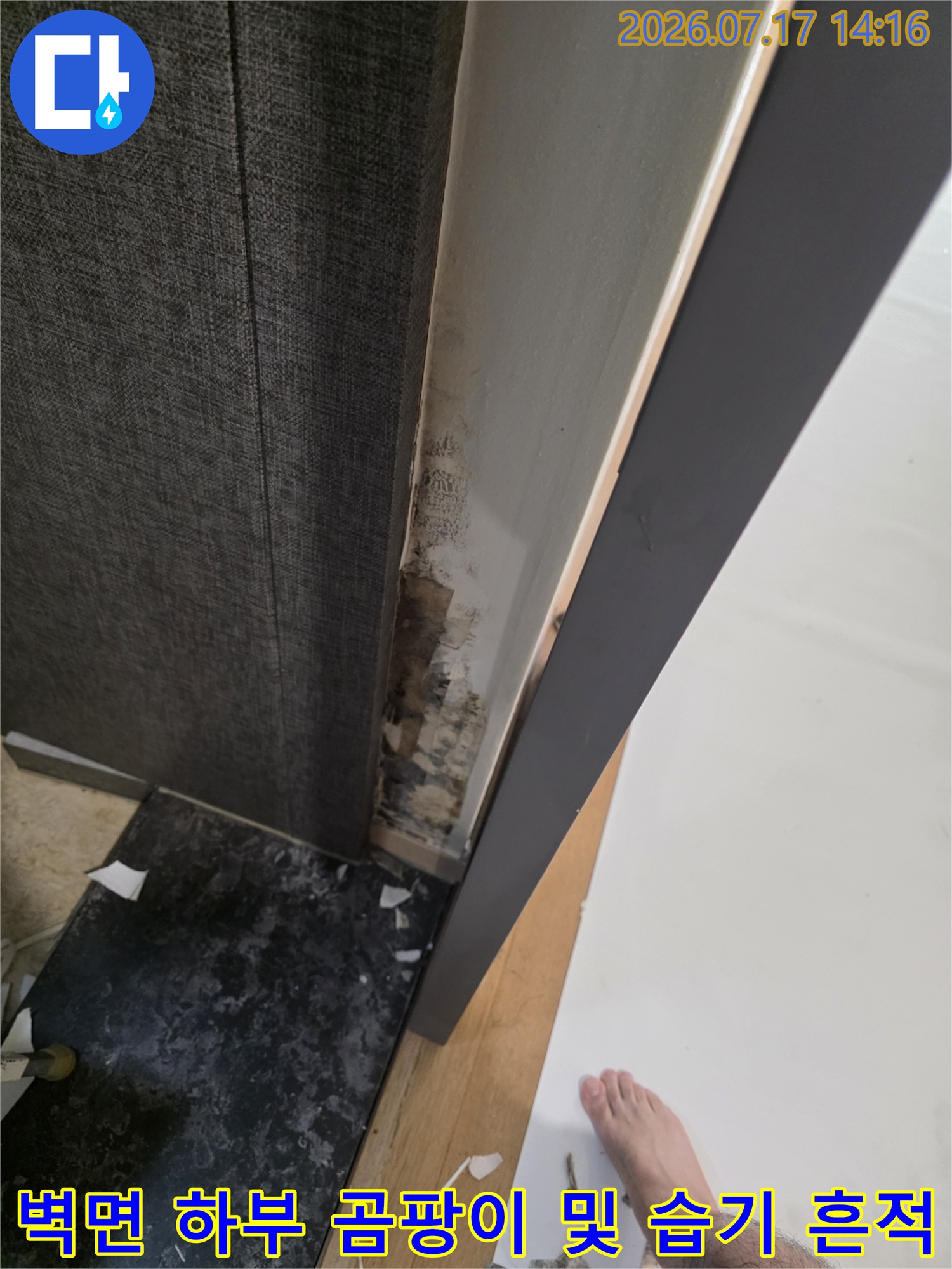 걸레받이 뒤편 벽면에 발생한 검은색 곰팡이와 물얼룩-오염 사진