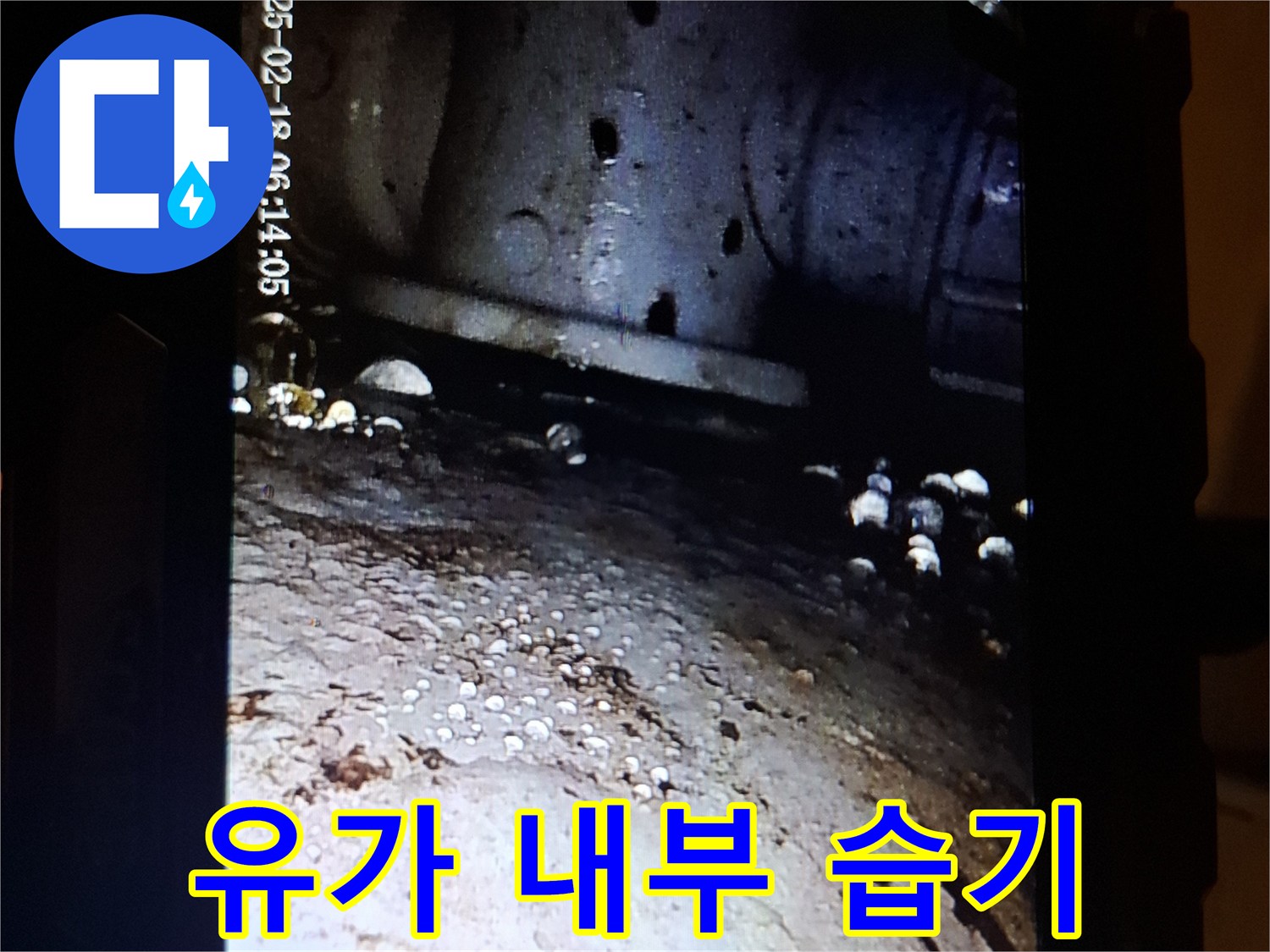 내시경 촬영을 통한-배수구 유가 주변의 물 고임 확인