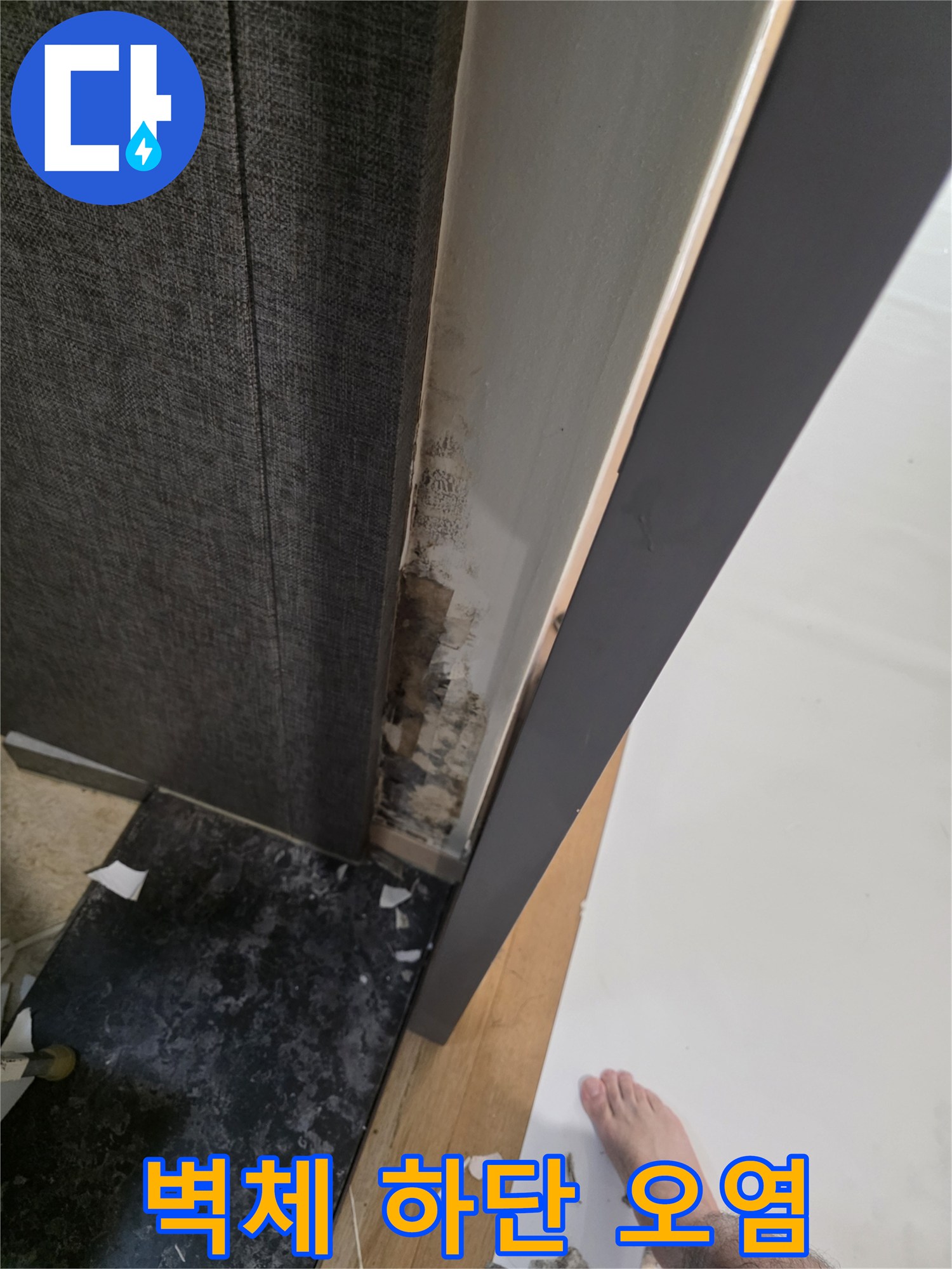 벽지 하단부-물샘으로 인한 곰팡이와 벽체 변색 현상