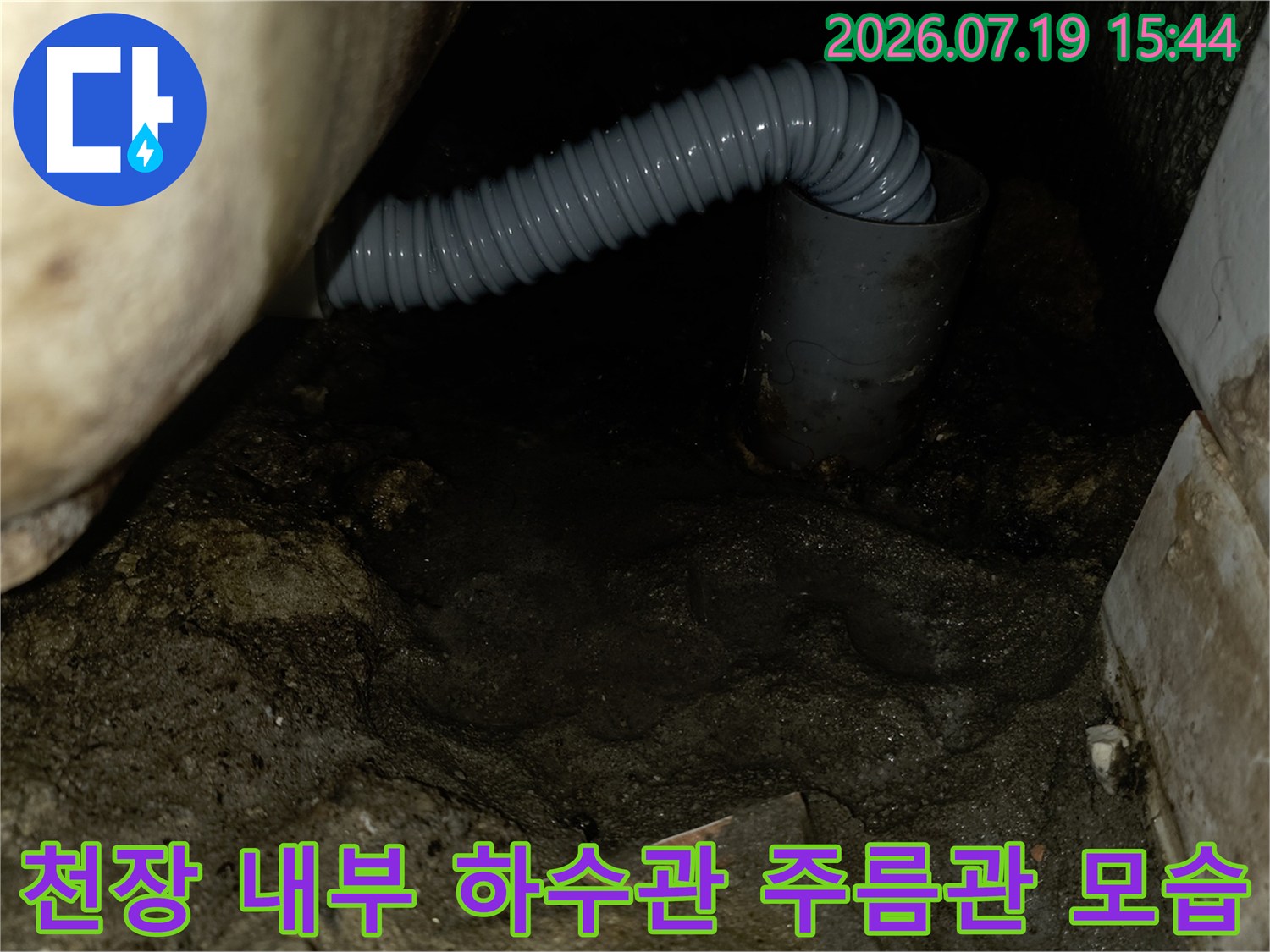 콘크리트 천장 아래로 설치된 회색 플라스틱 재질의 굴곡진 배수 배관