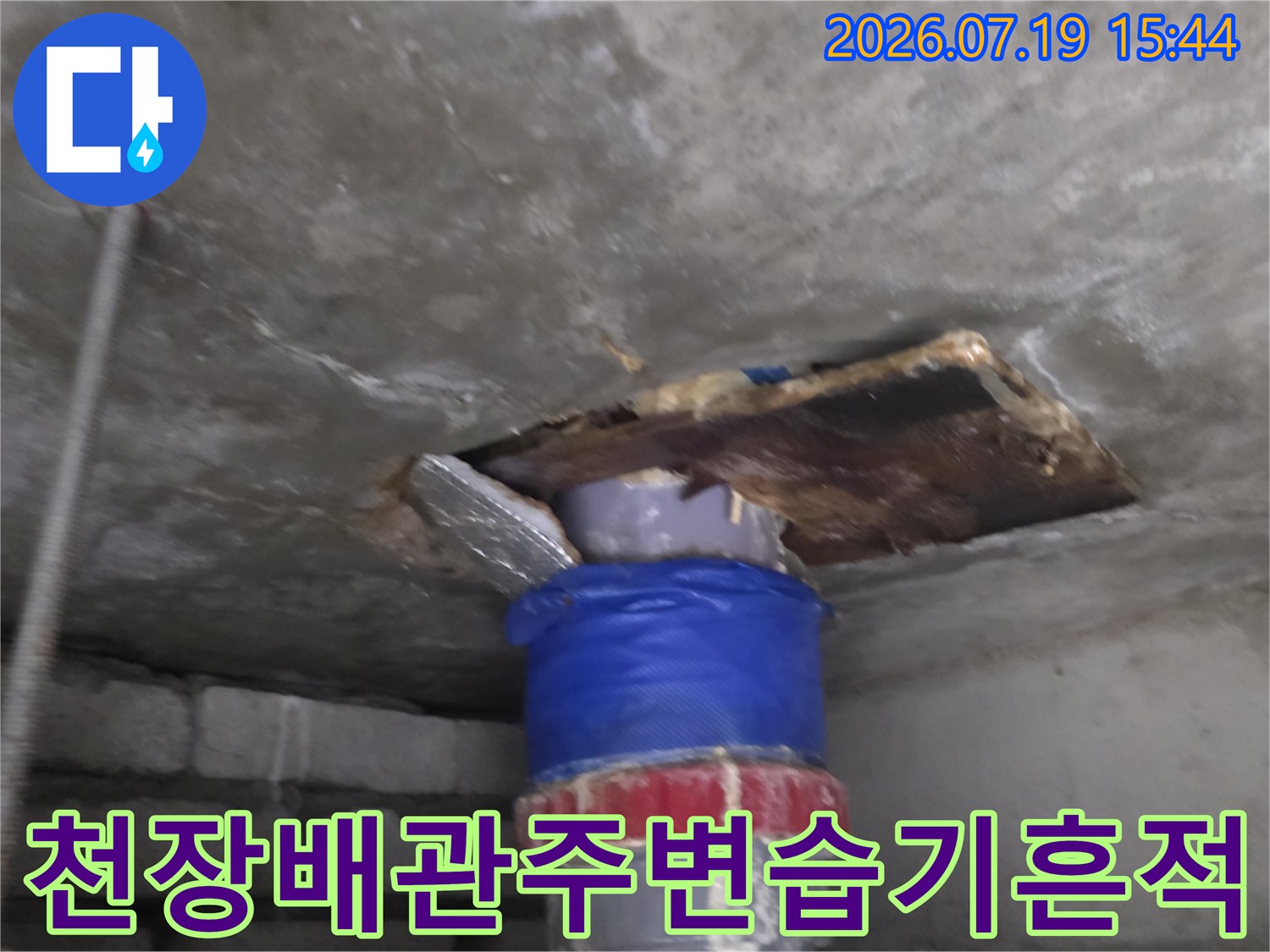 파란색-보온재-배관과-그-주변의-짙게-젖어있는-콘크리트-슬래브-표면