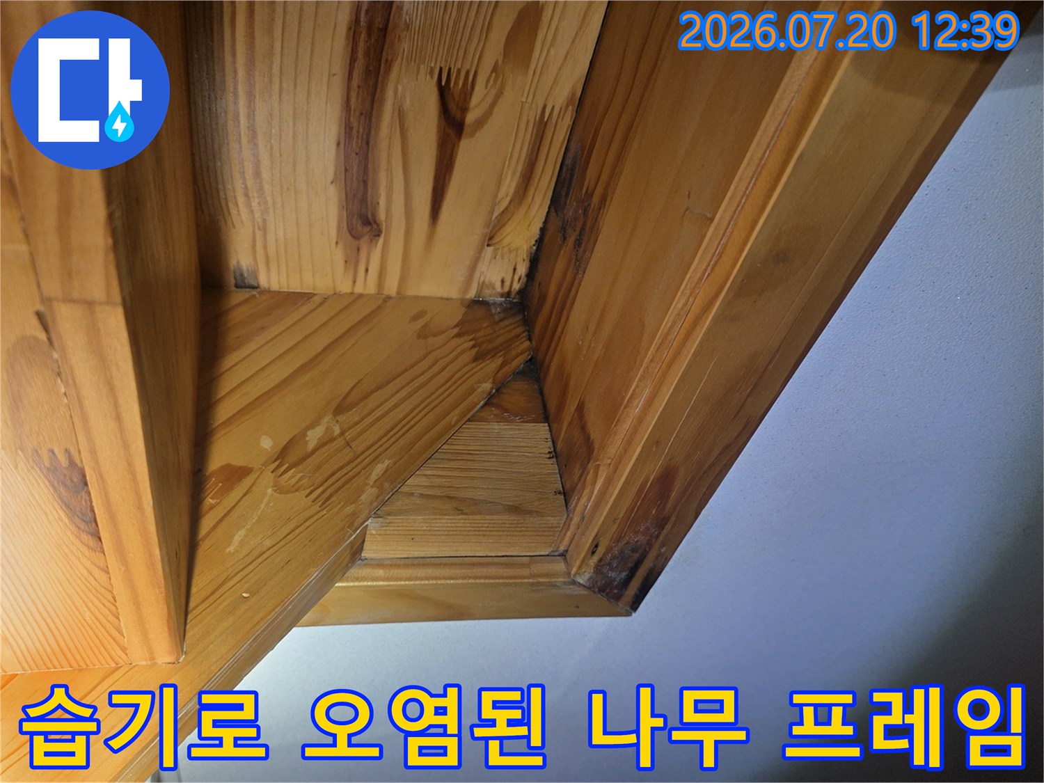 천장 내부 목재들의 연결 부위가 수분 침투로 인해 검게 변색된 상태를 찍은 사진
