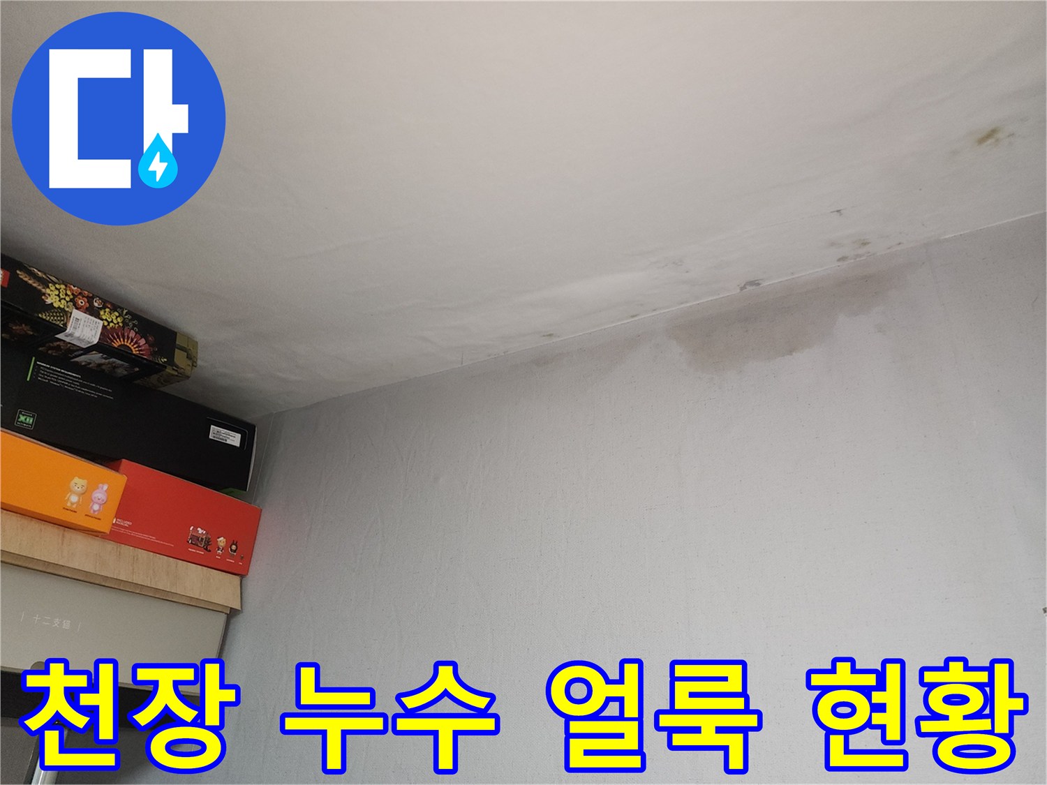 아파트 천장 경계 부위의 누수 흔적과 젖은 얼룩 상태