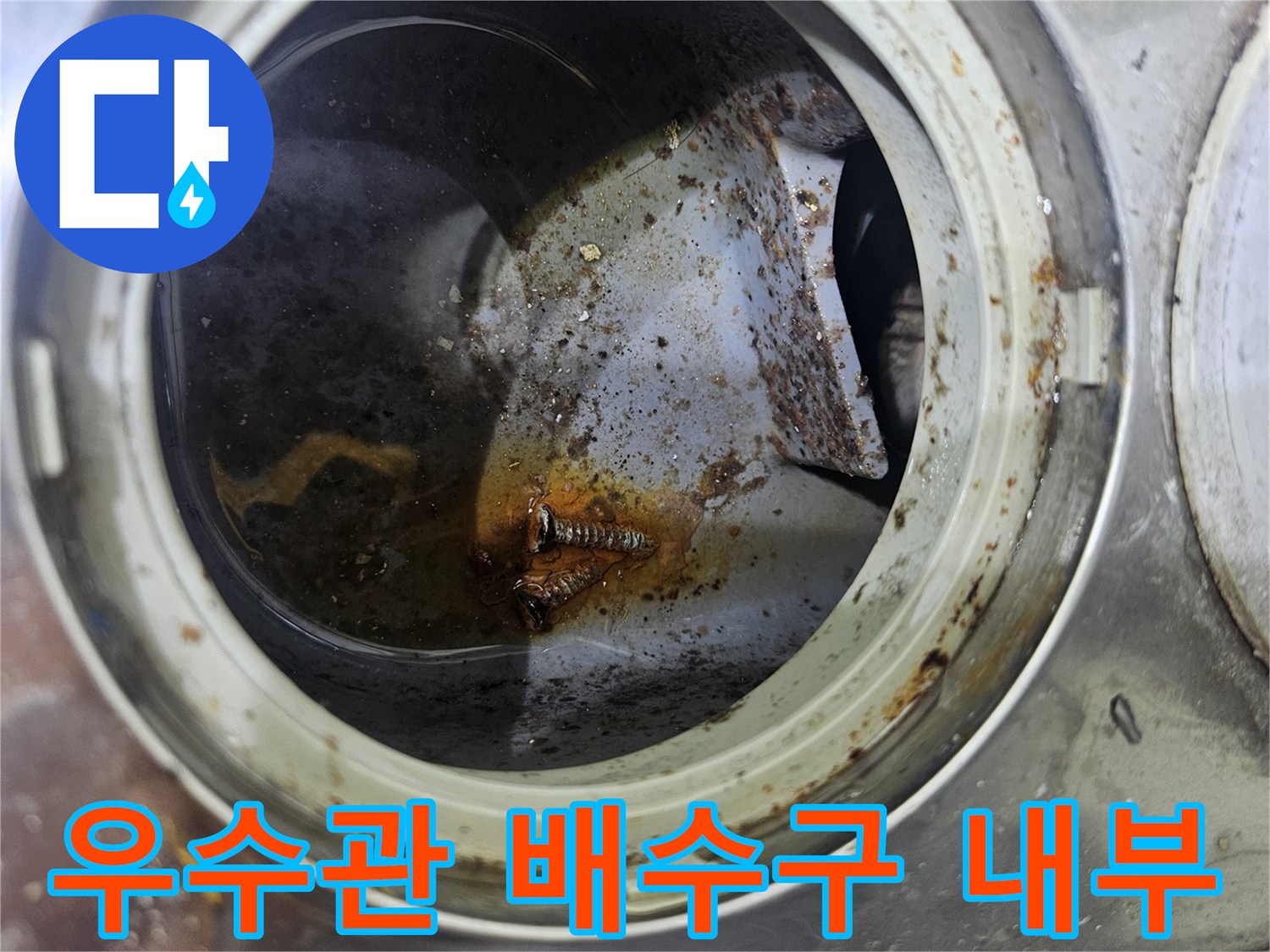 의정부 현장의-물고임이 발생한 우수관 배수구 내부 모습