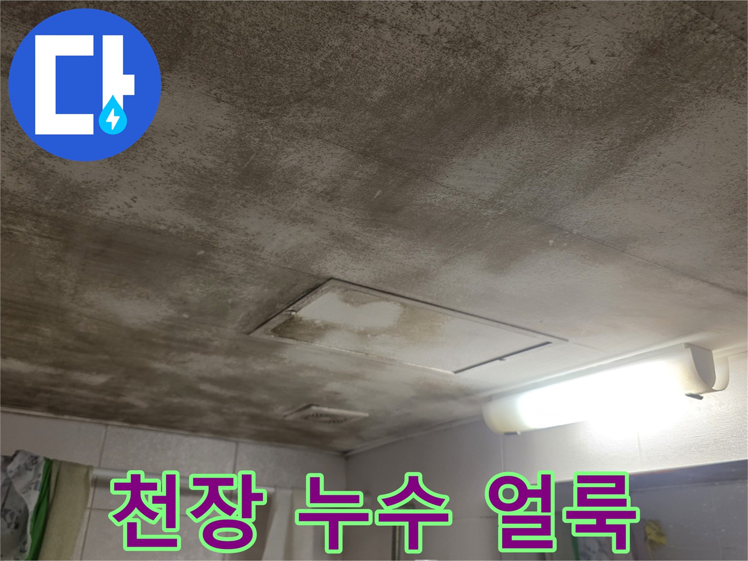 넓게 번진 갈색 물자국과 천장 점검구 부위