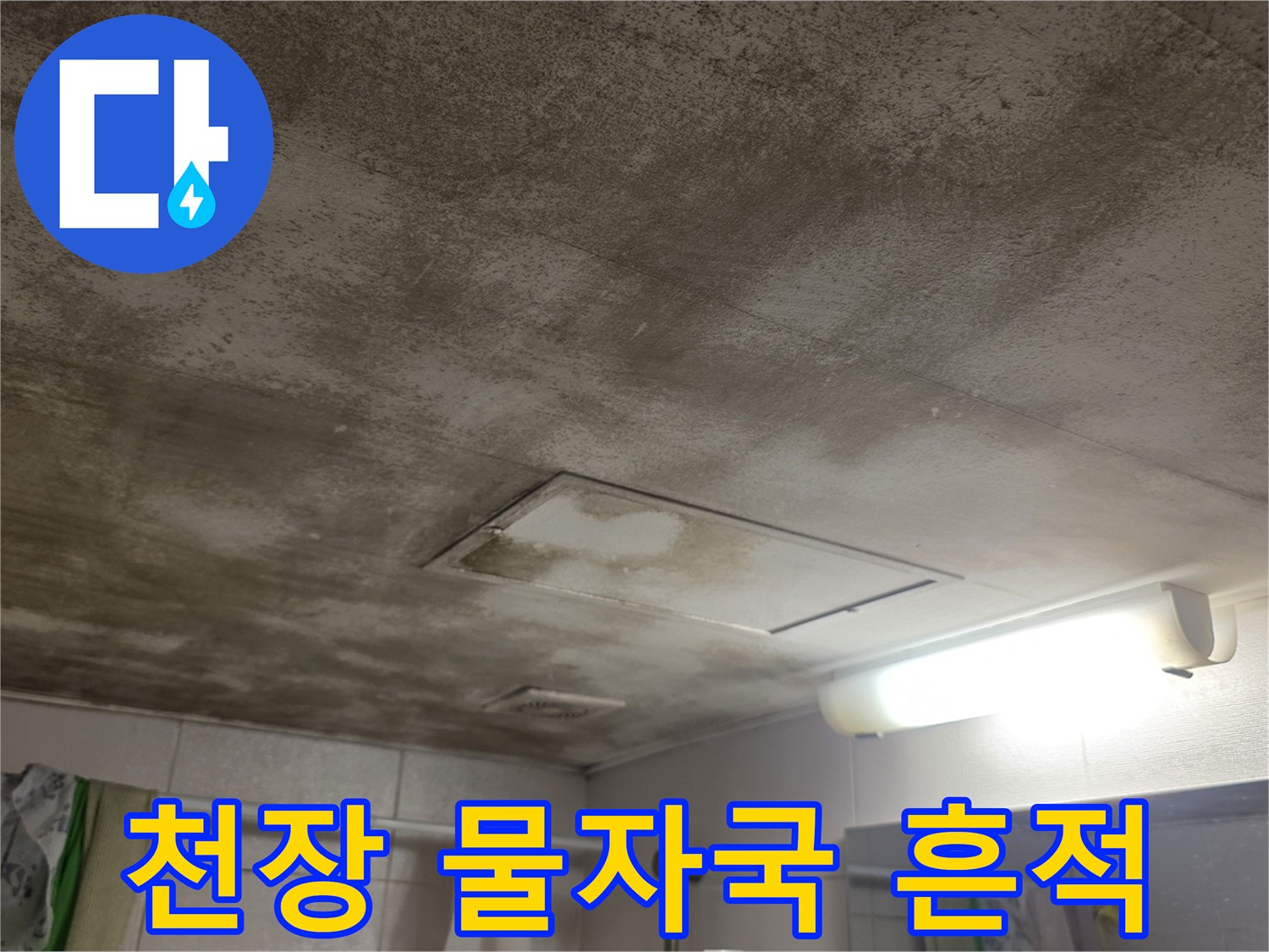 마포구 아파트 천장에 넓게 퍼진 누수 얼룩과 점검구 모습