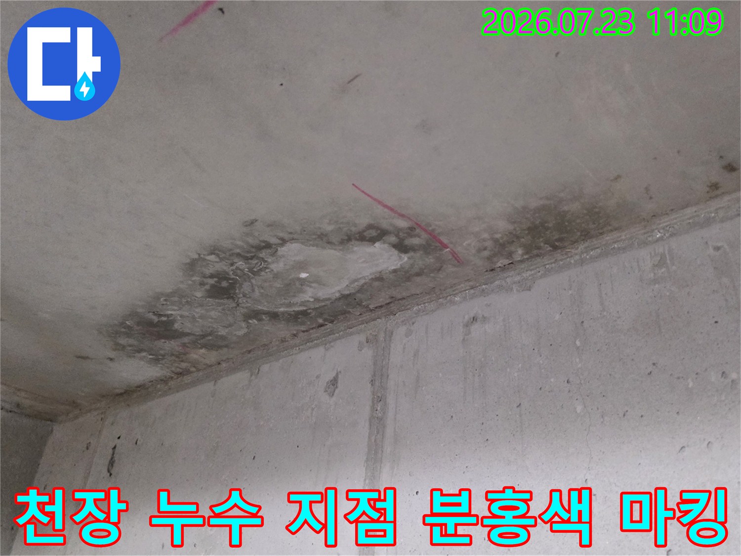 어둡게 변색된 천장 콘크리트 표면과 표시용 펜 자국-현장 기록