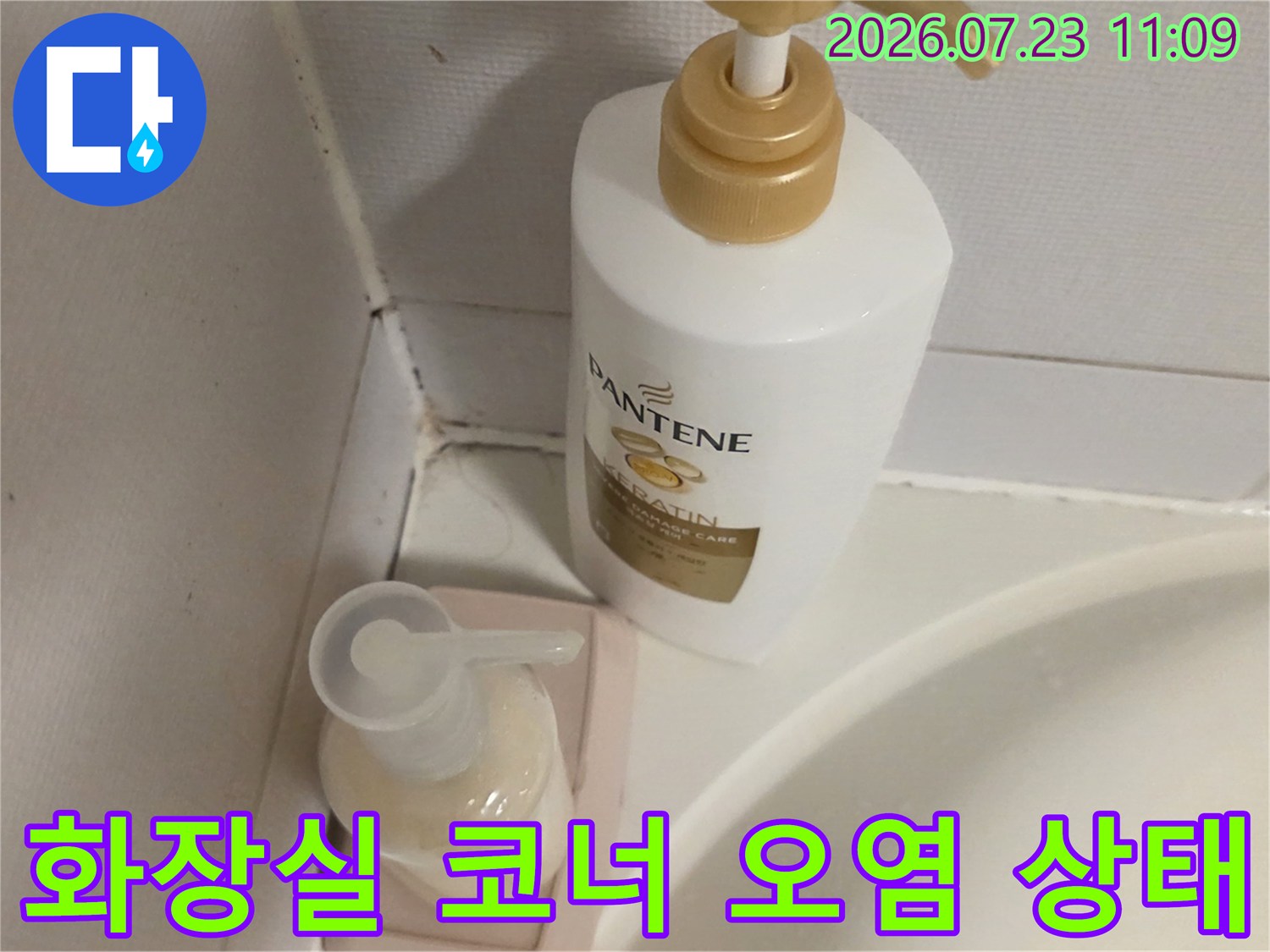 욕실 모서리 타일 틈새에 발생한 검은색 곰팡이-오염물질 모습