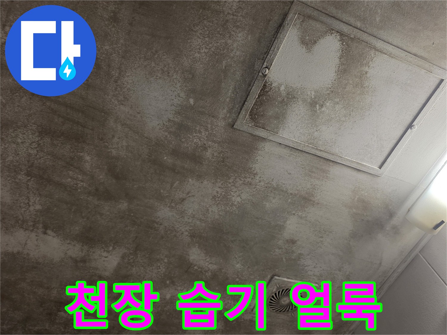 천장 마감재에 나타난 누수 흔적과 물자국