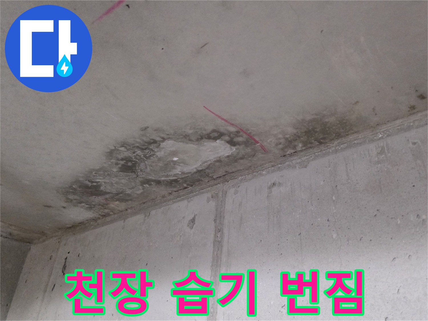 천장 마감재에 나타난 짙은 색의 누수 오염 부위