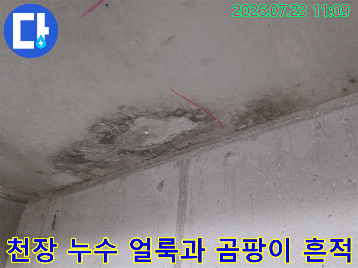 콘크리트 천장에 발생한 어두운 색상의 누수 얼룩-습기로 인한 변색 현상