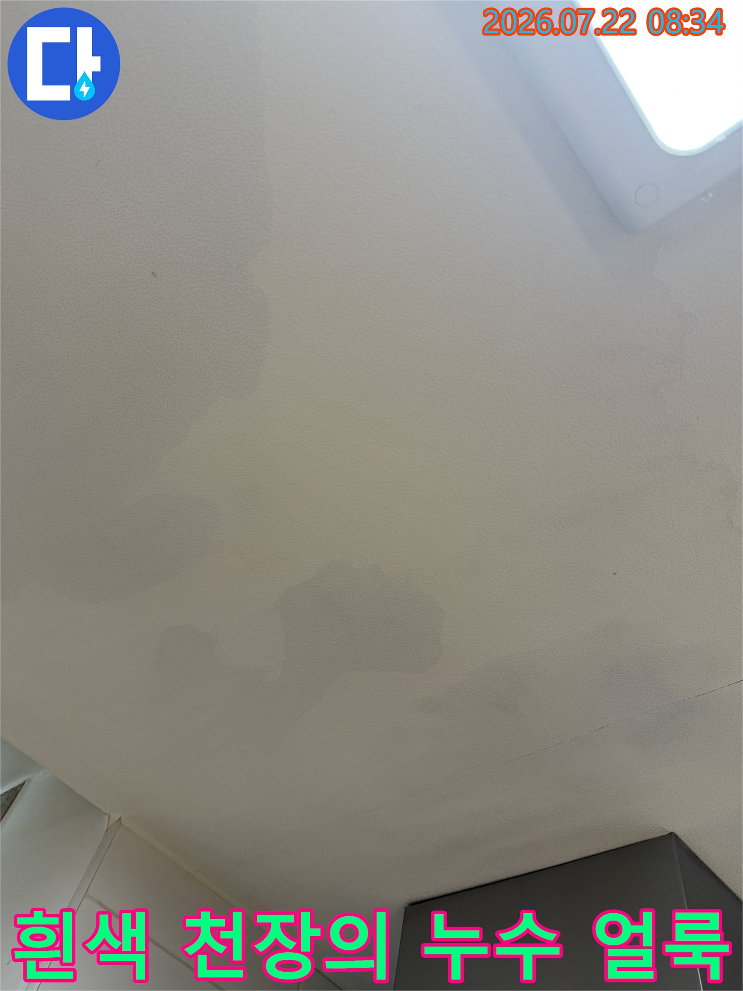 흰색 천장 마감재에 넓게 퍼진 회색빛 누수 얼룩-사진