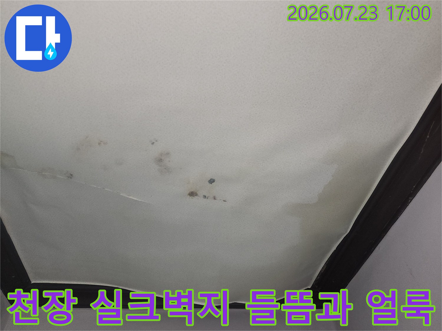 아랫집 거실 천장의 벽지가 물에 젖어 불룩하게 튀어나오고 변색된 모습