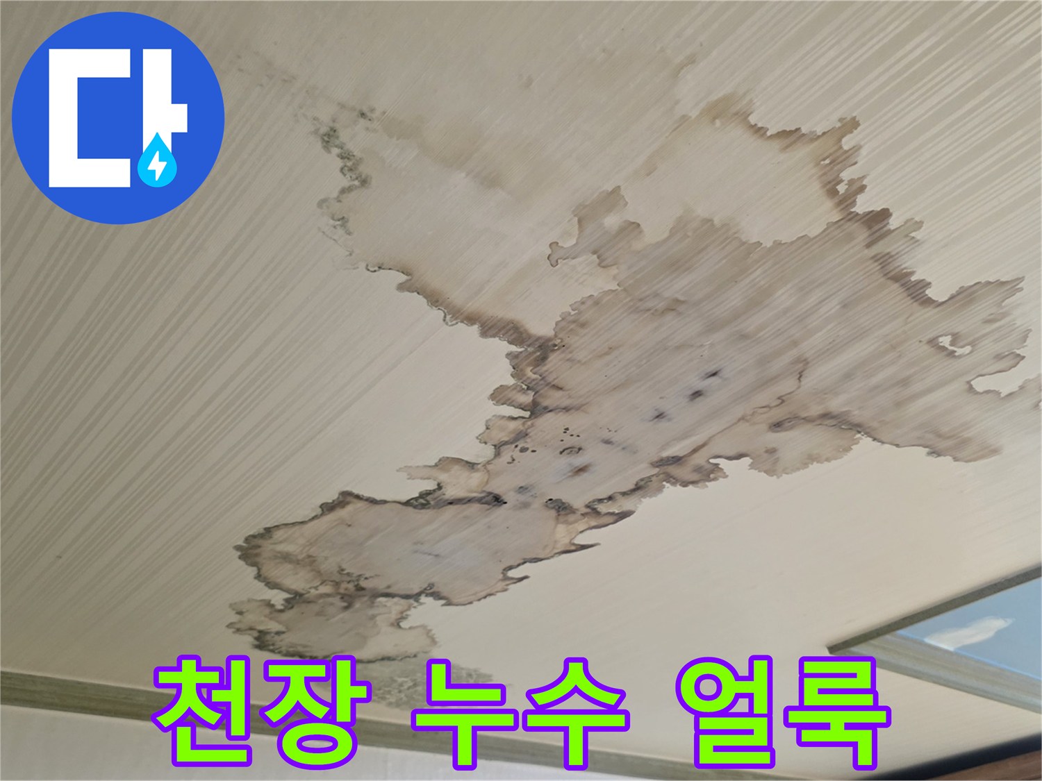 성북구 정릉동 빌라-천장 벽지에 나타난 넓은 물 얼룩과 습기 흔적