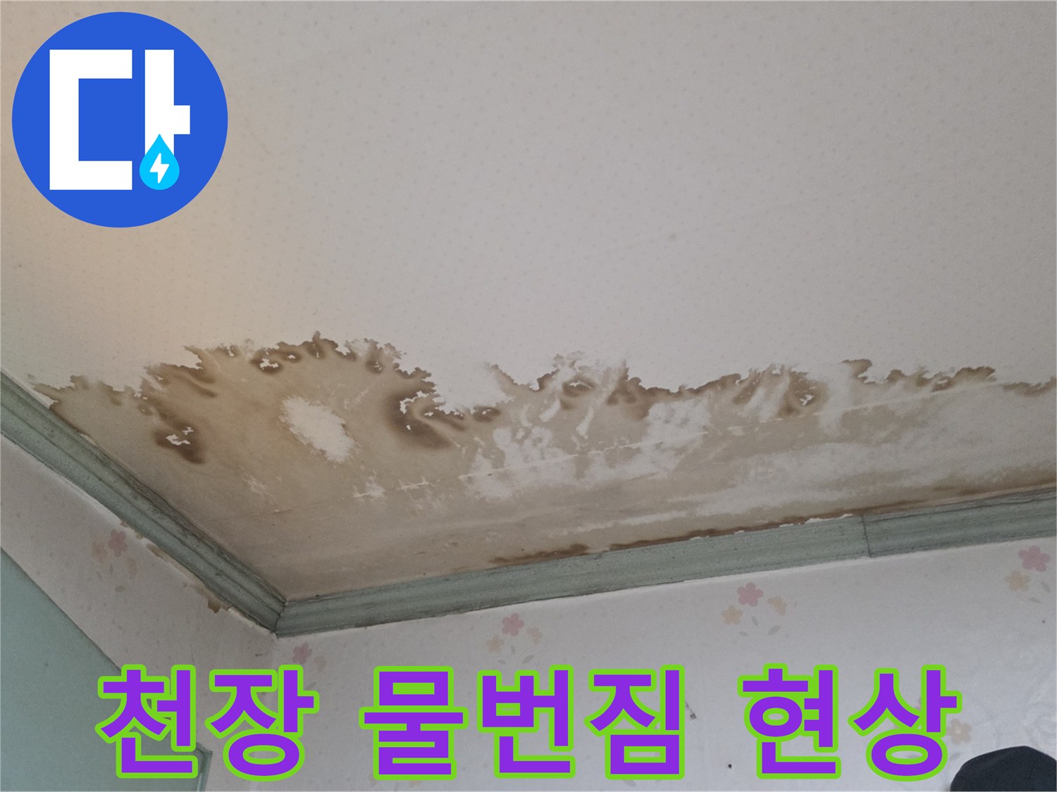 성북구-정릉동-아래층-천장-물번짐-및-얼룩