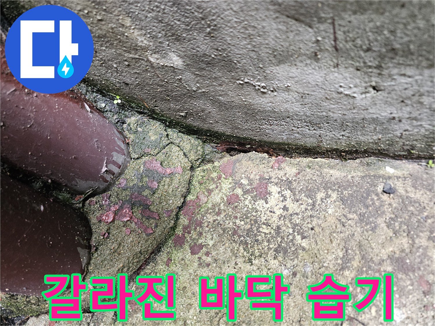 누수 의심 구역-습기를 머금은 콘크리트 균열