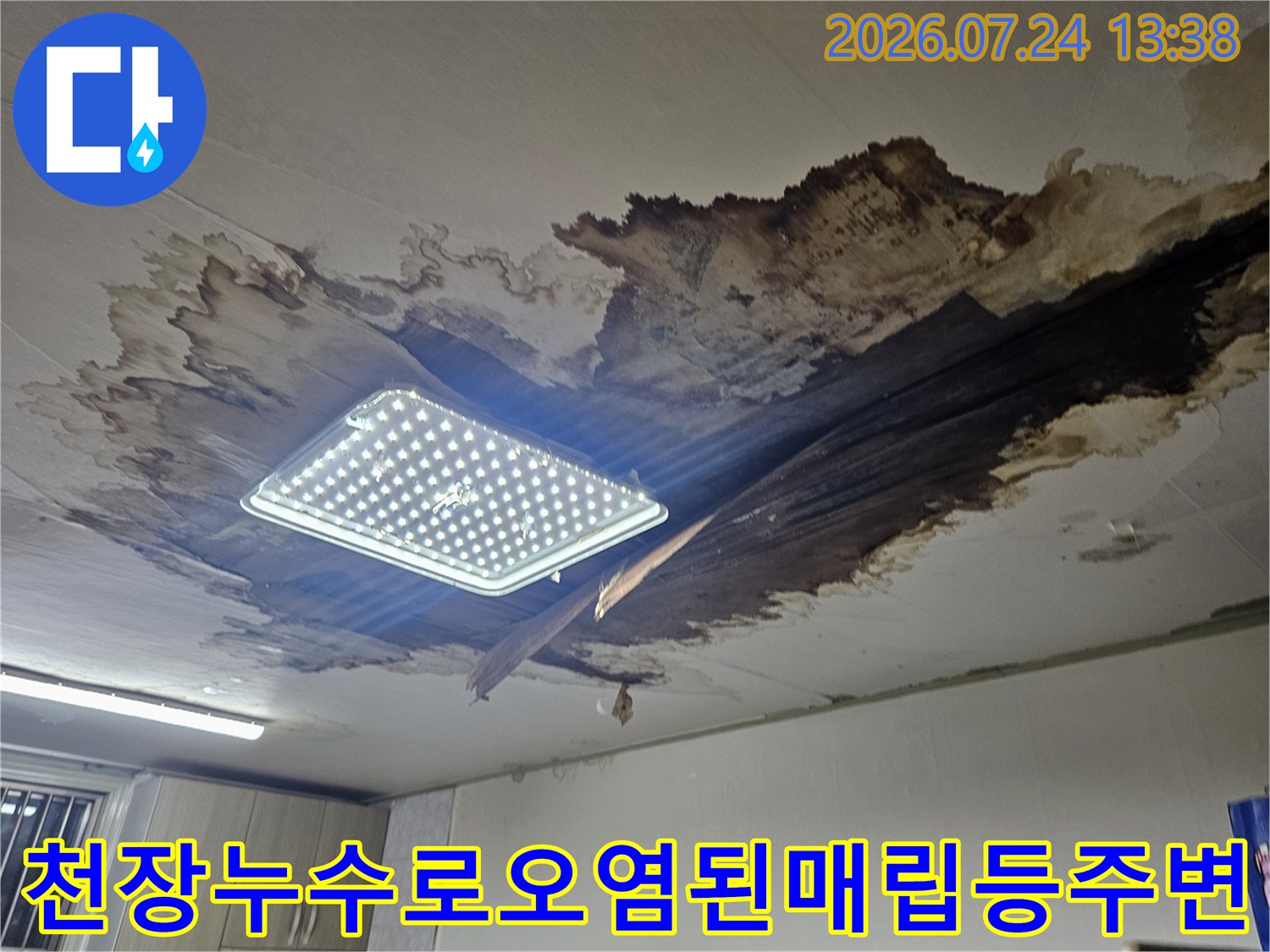 빌라-천장의-매립형-전등-주변으로-심한-물얼룩과-곰팡이가-피어있는-모습