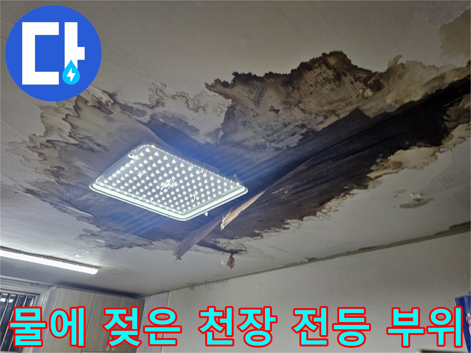 천장 조명 주변의 광범위한 누수 흔적과 마감재 손상