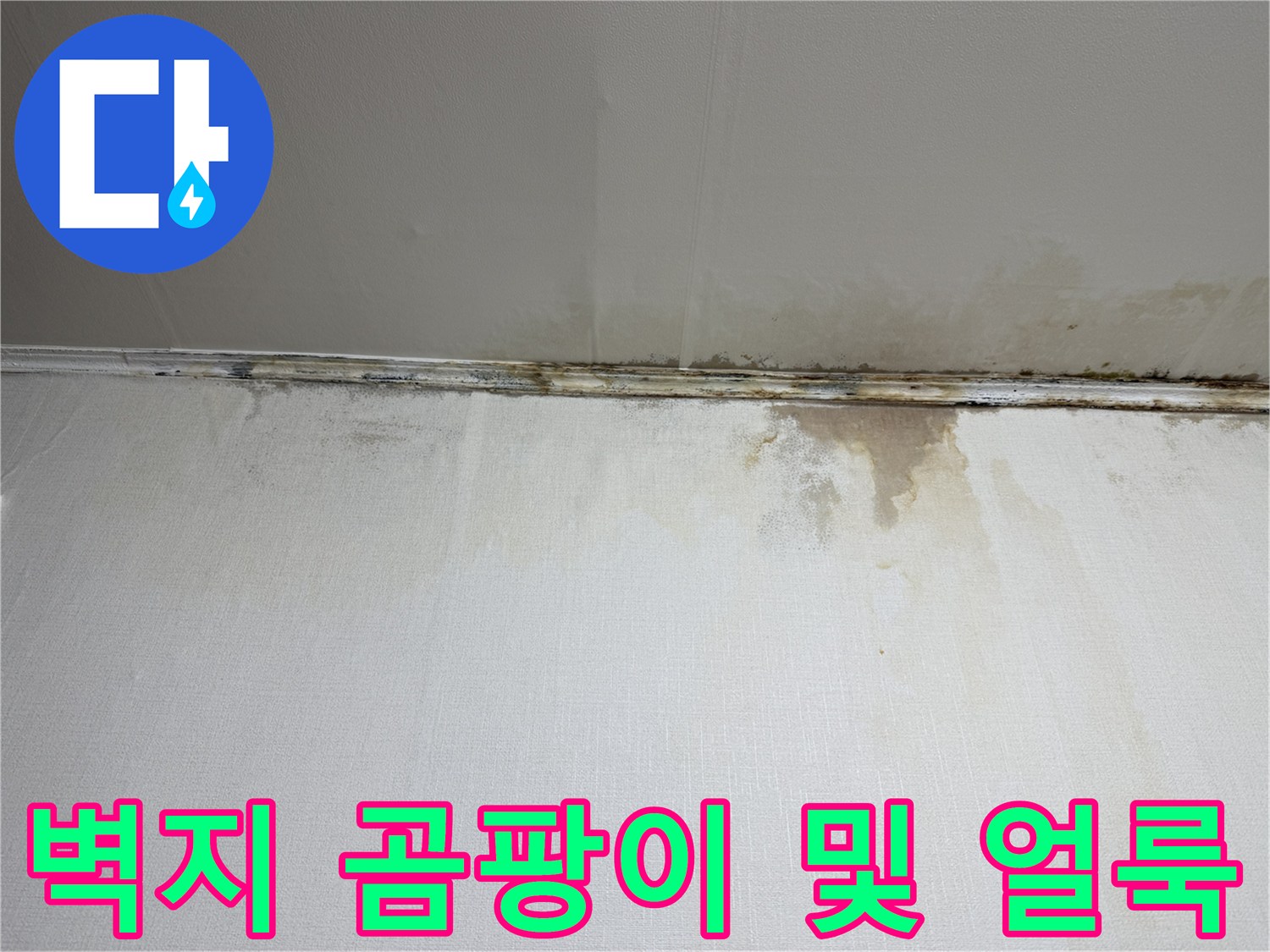 누수로 인한-천장 벽지 변색과 곰팡이 발생 부위