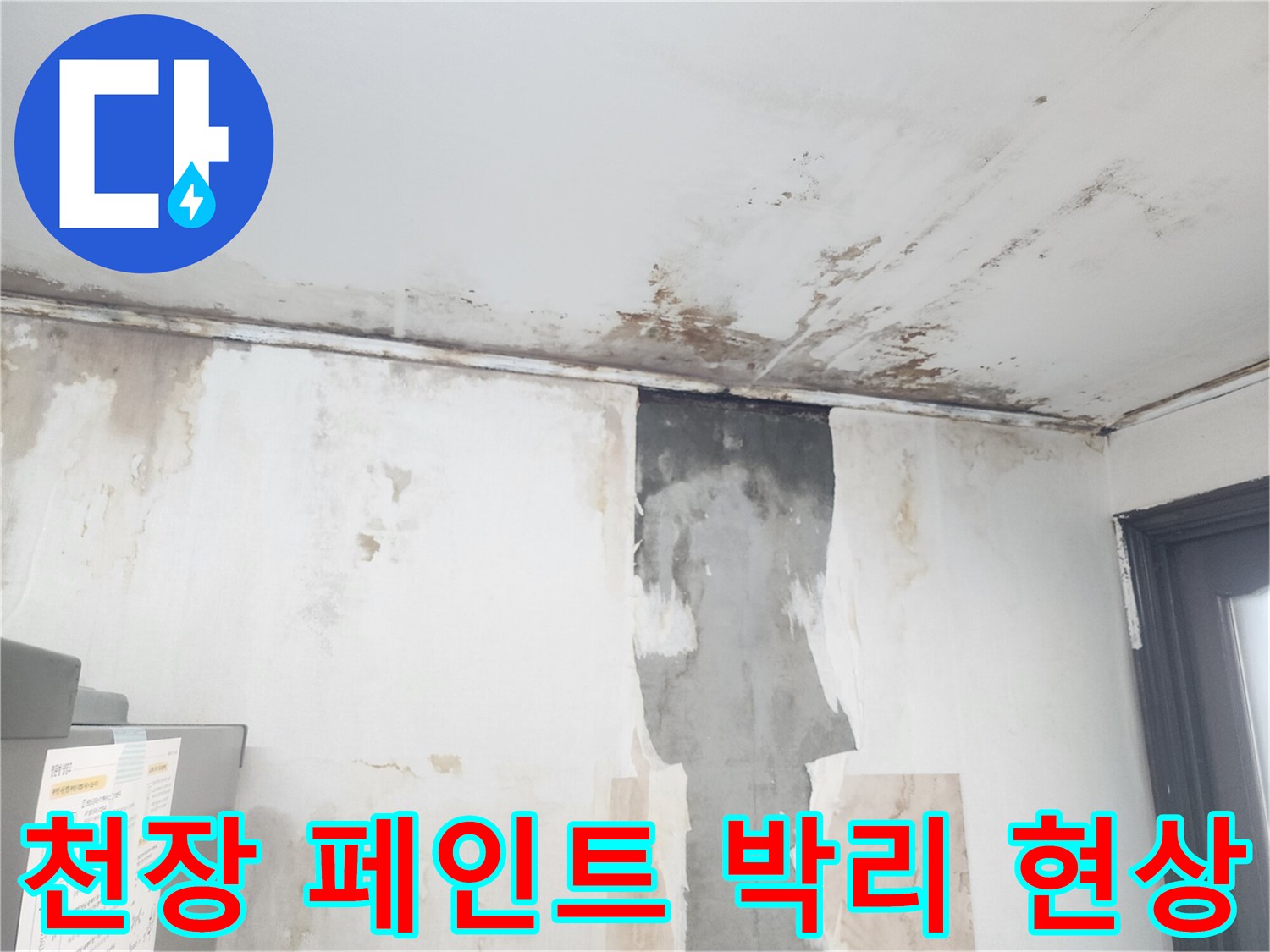 습기로 인해 들뜬 천장 페인트-벽면 곰팡이 침투 상태