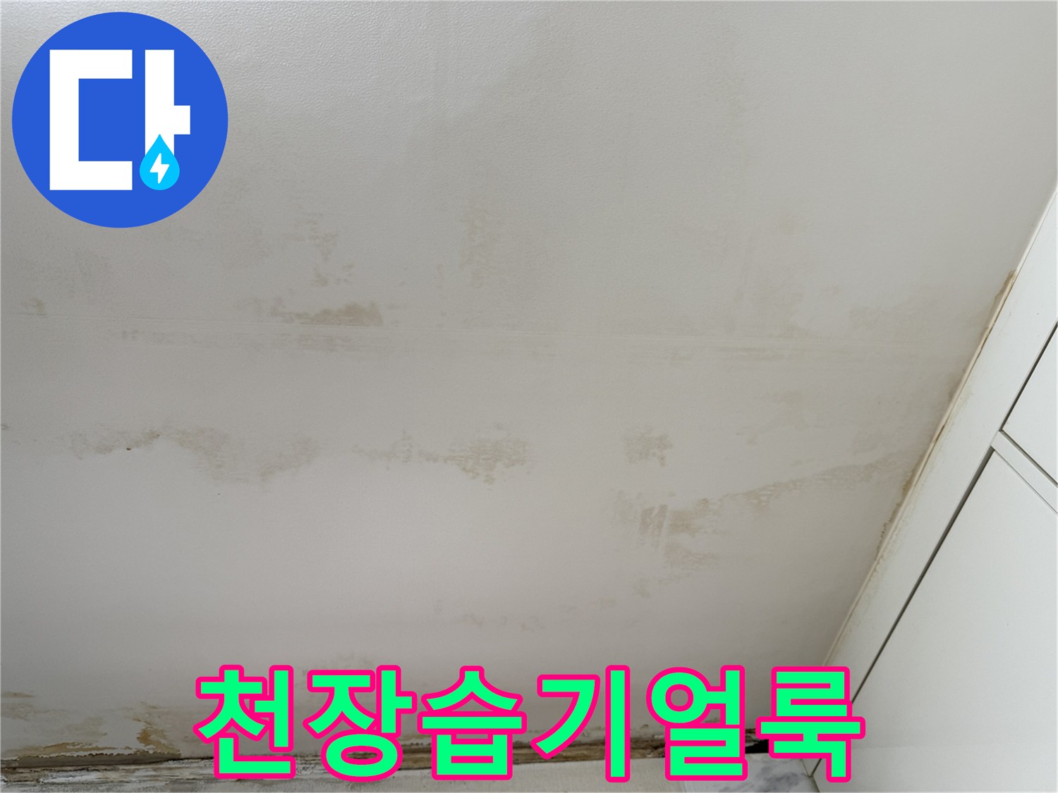 천장-내부-누수로-발생한-물자국과-곰팡이
