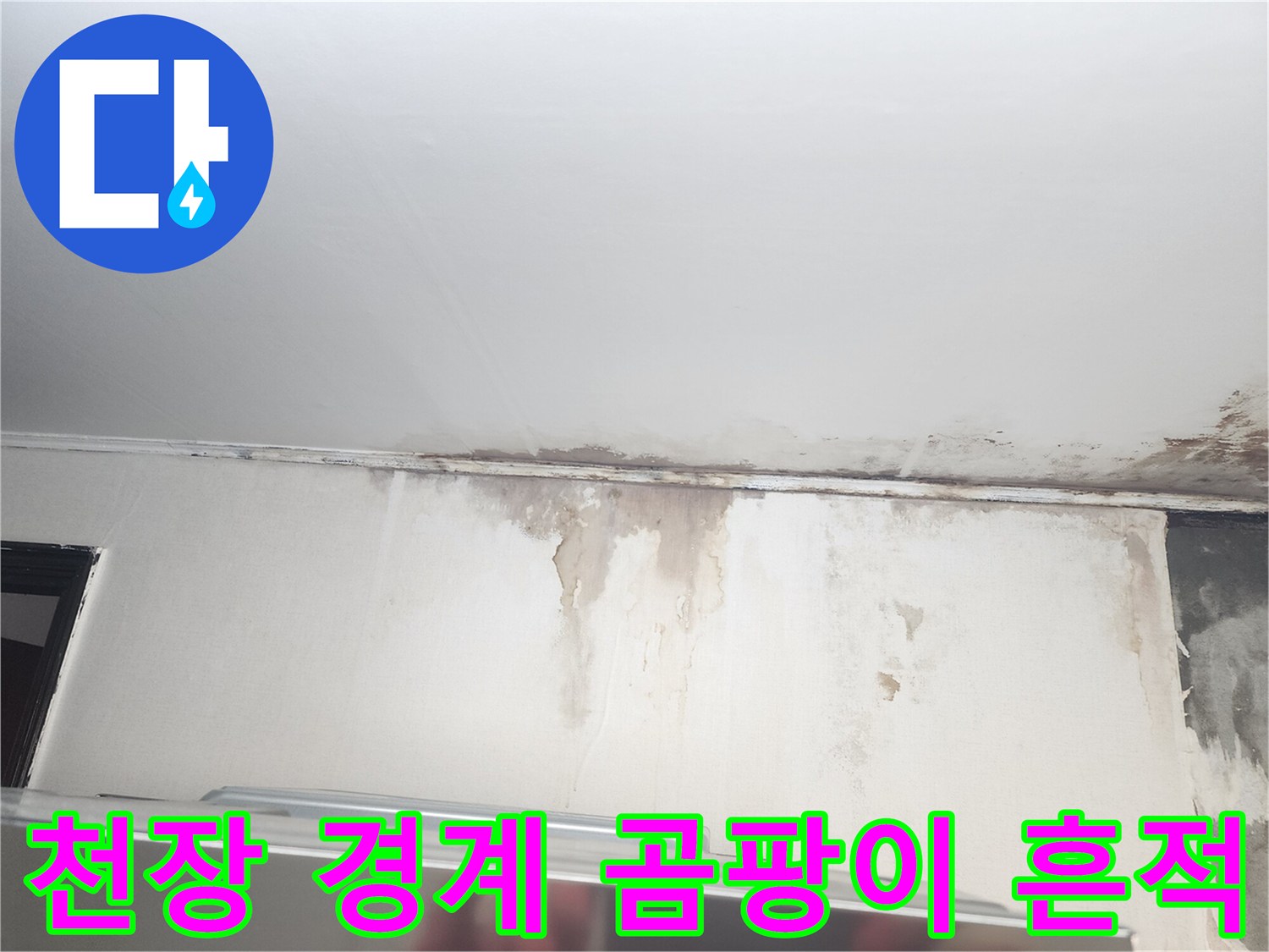 천장 몰딩 부근-물샘으로 인한 곰팡이와 벽지 오염