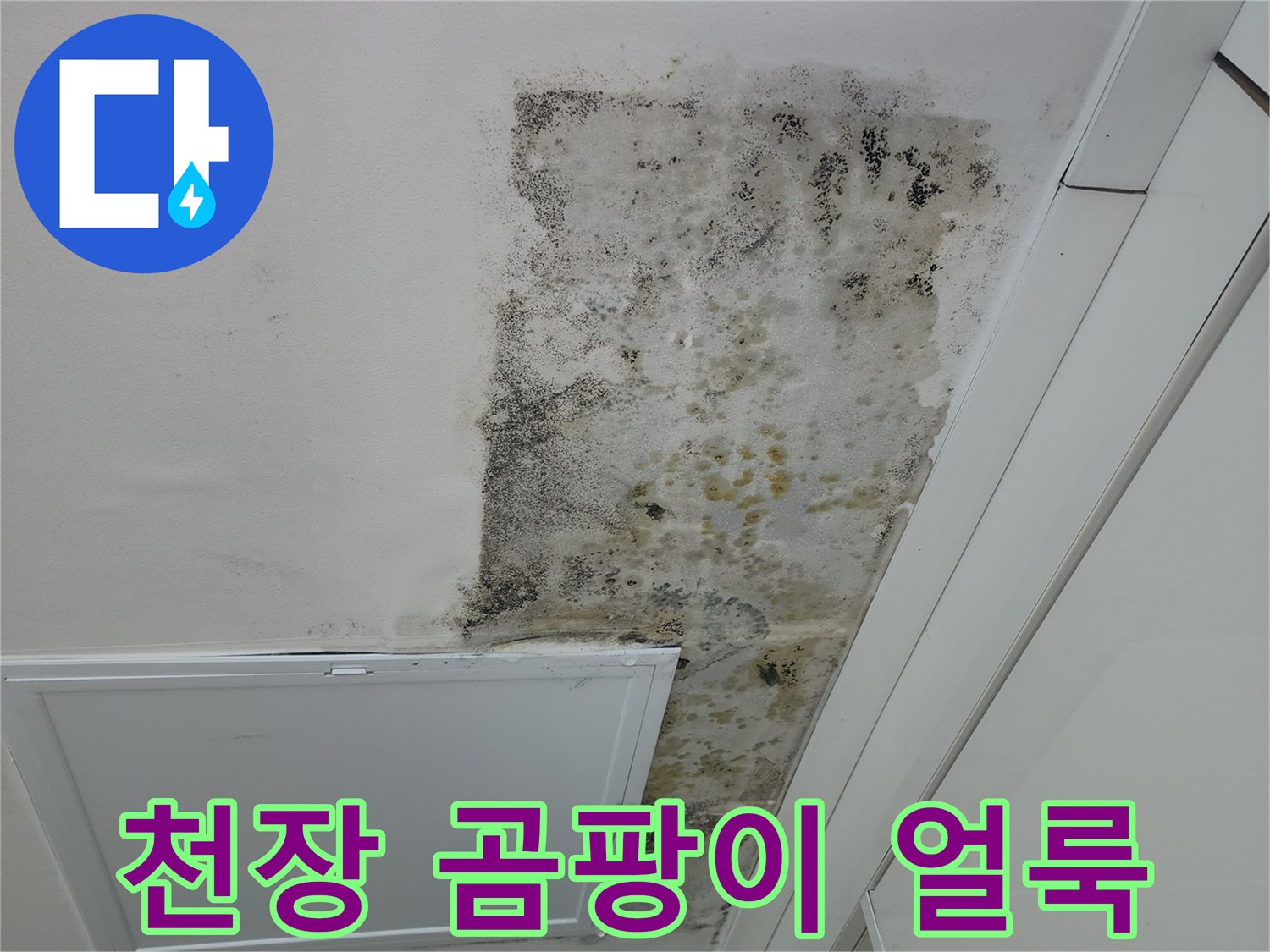 누수 흔적이 남은 천장-곰팡이가 번진 마감재 부위