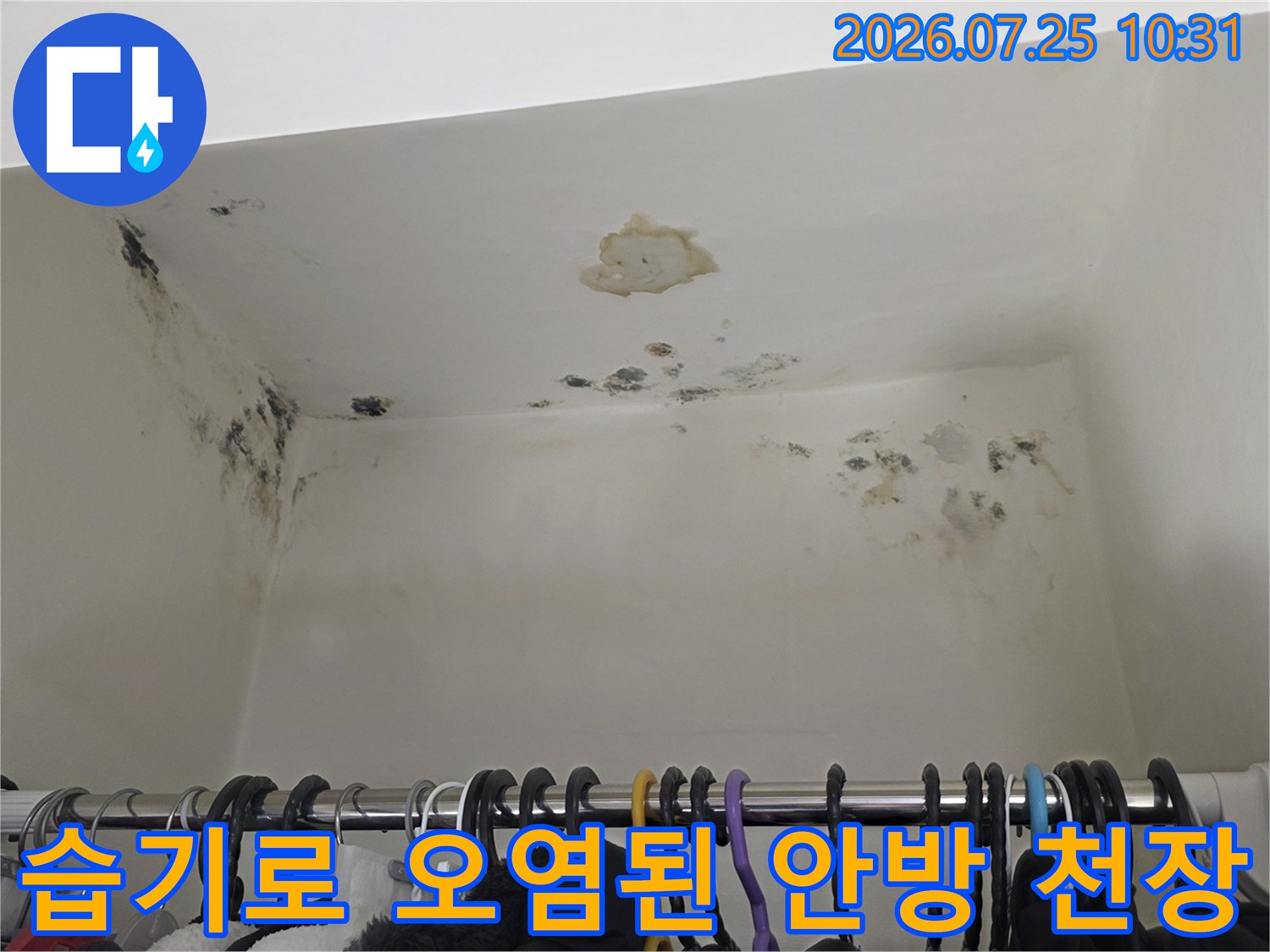 검은색 곰팡이가 벽면과 천장 접합부에 형성되어 있고 도배지가 일부 벗겨진 상태