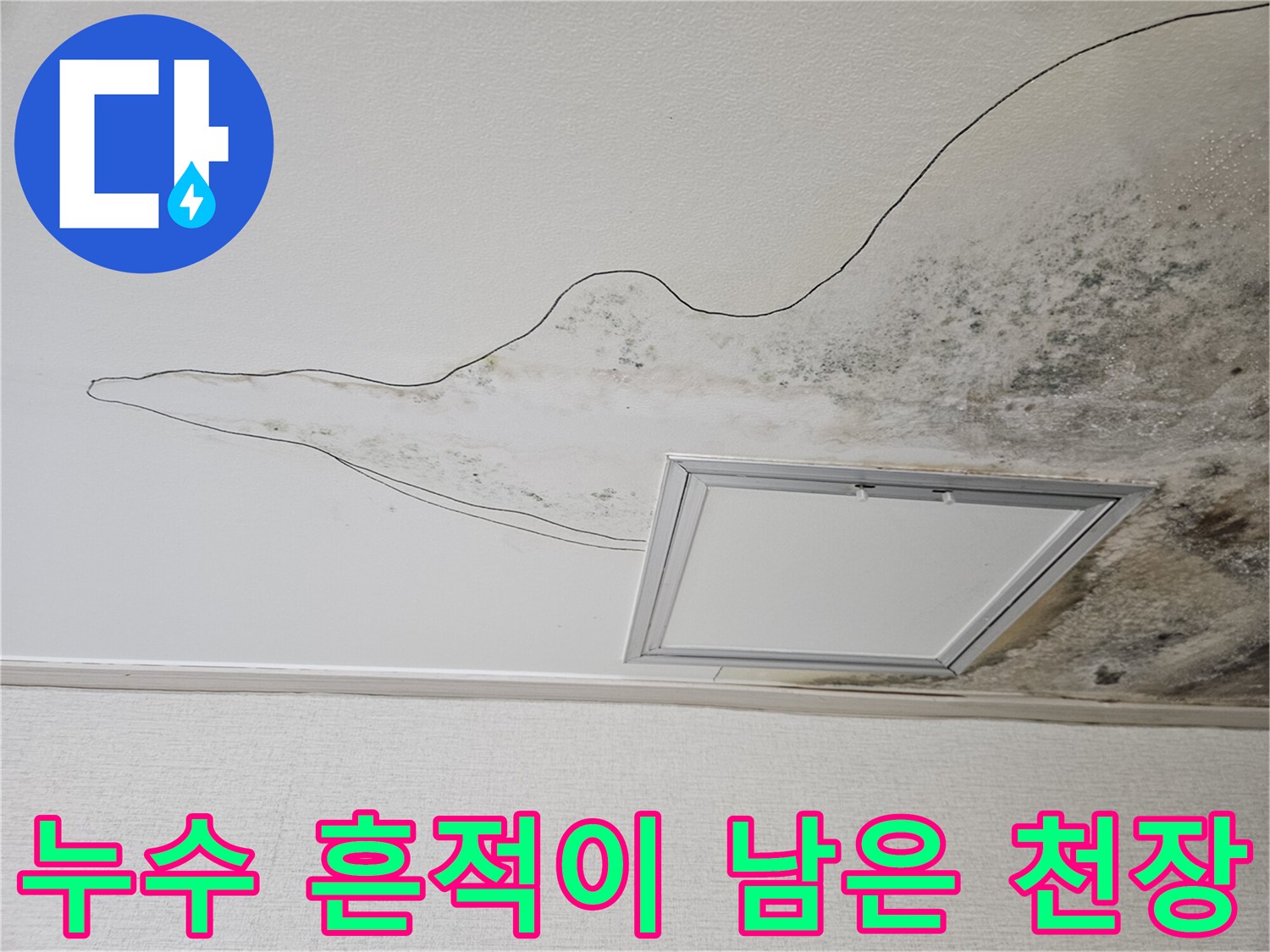 검게 얼룩진 주방 천장 마감재와 곰팡이 부위