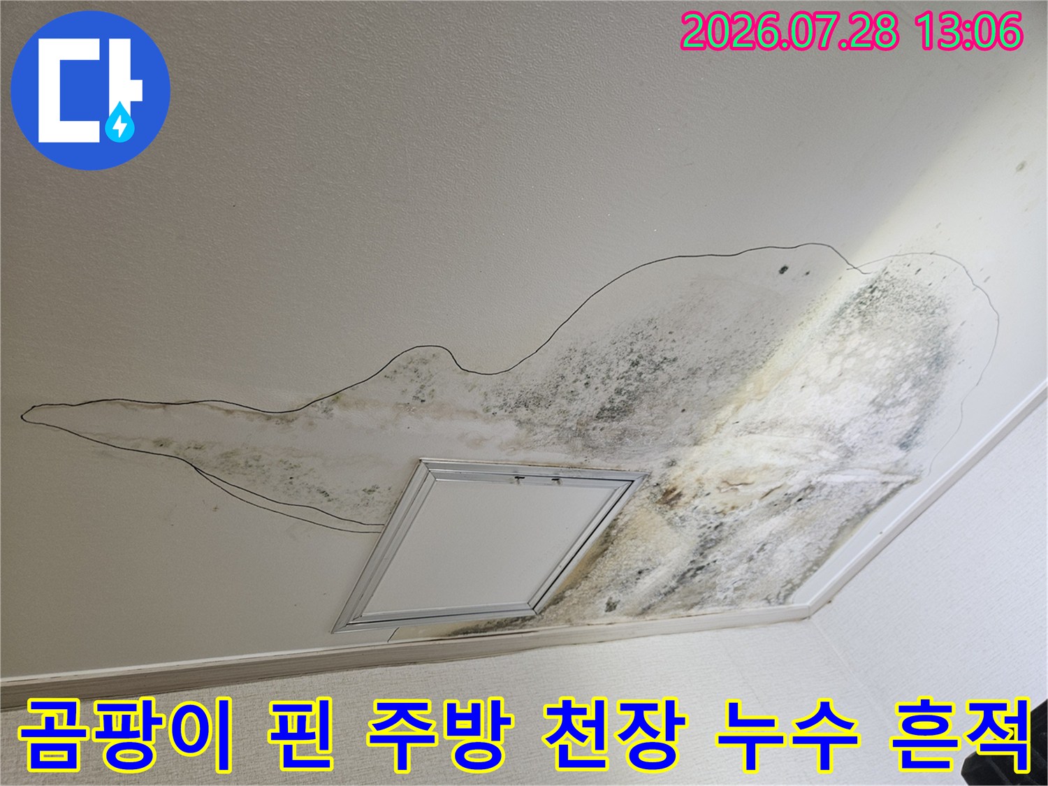 곰팡이가 번진 주방 천장과 배수구 주변의 누수 흔적 현장