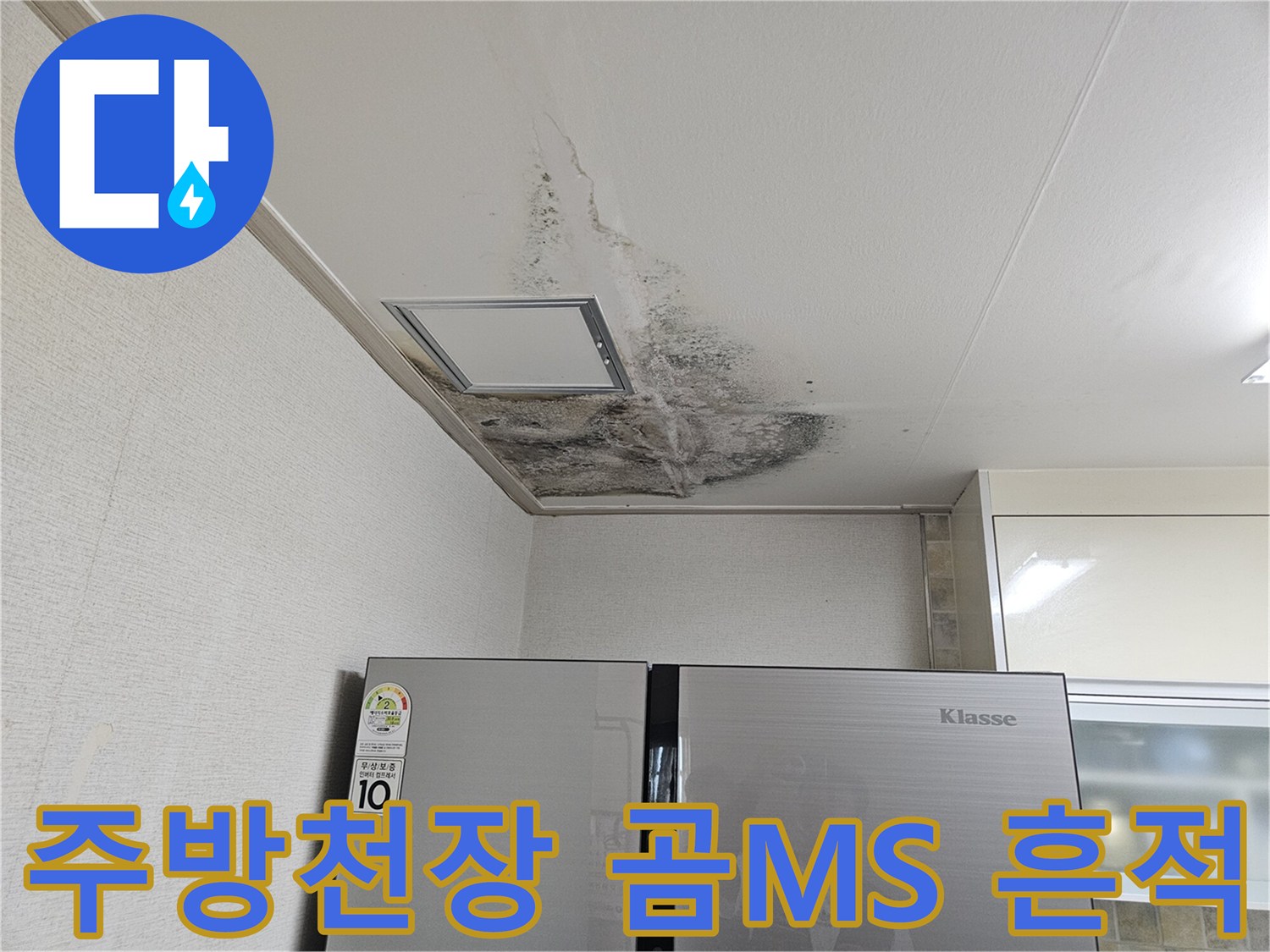 당진 읍내동 주방 천장 벽지에 번진 검은 곰팡이와 물샘 자국