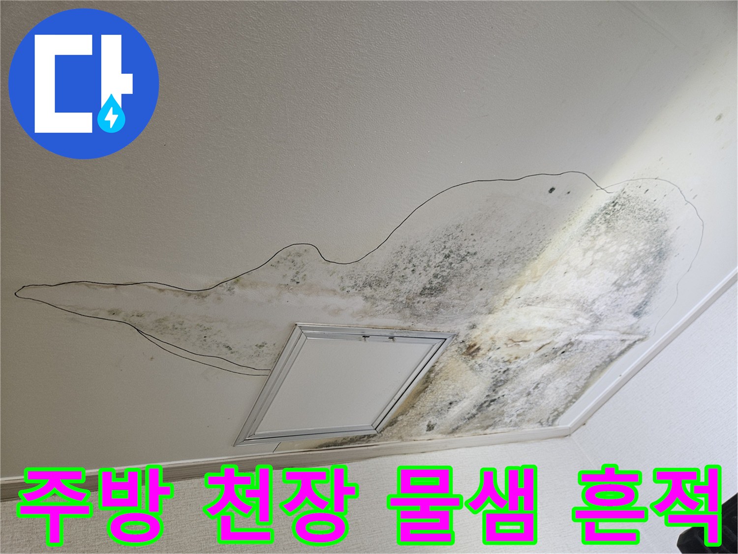 물에 젖어 곰팡이가 발생한 주방 천장 마감재