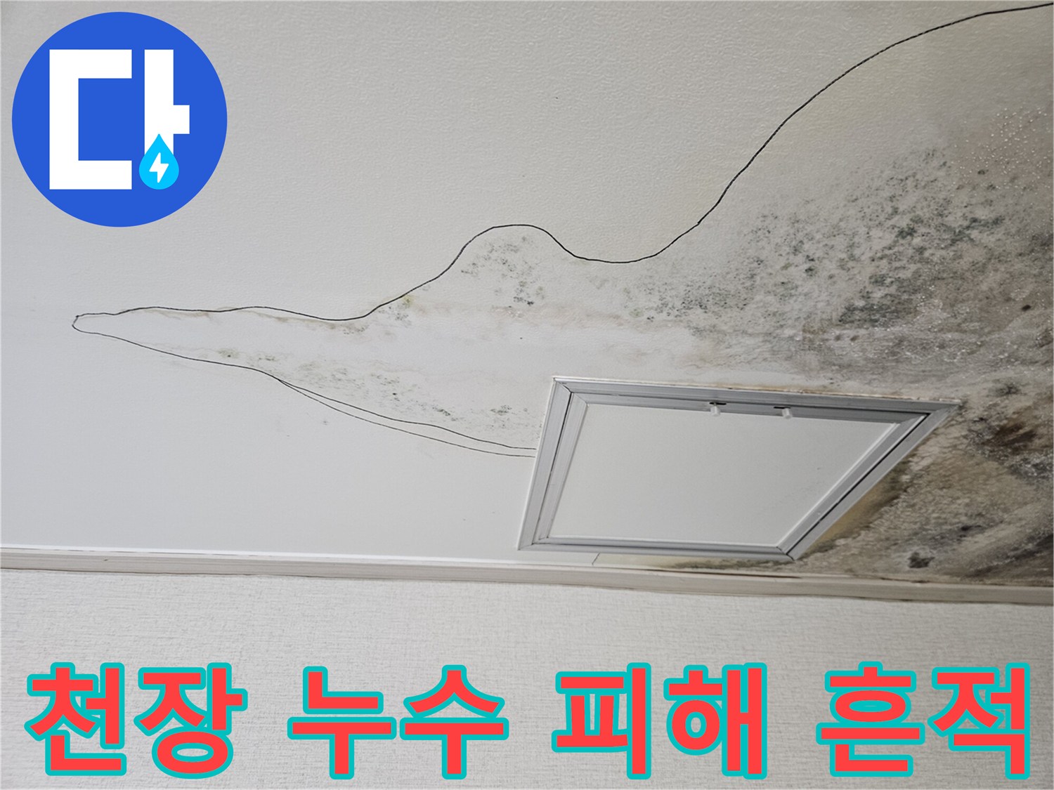 주방 점검구 주변으로 번진 천장 오염과 곰팡이 상태
