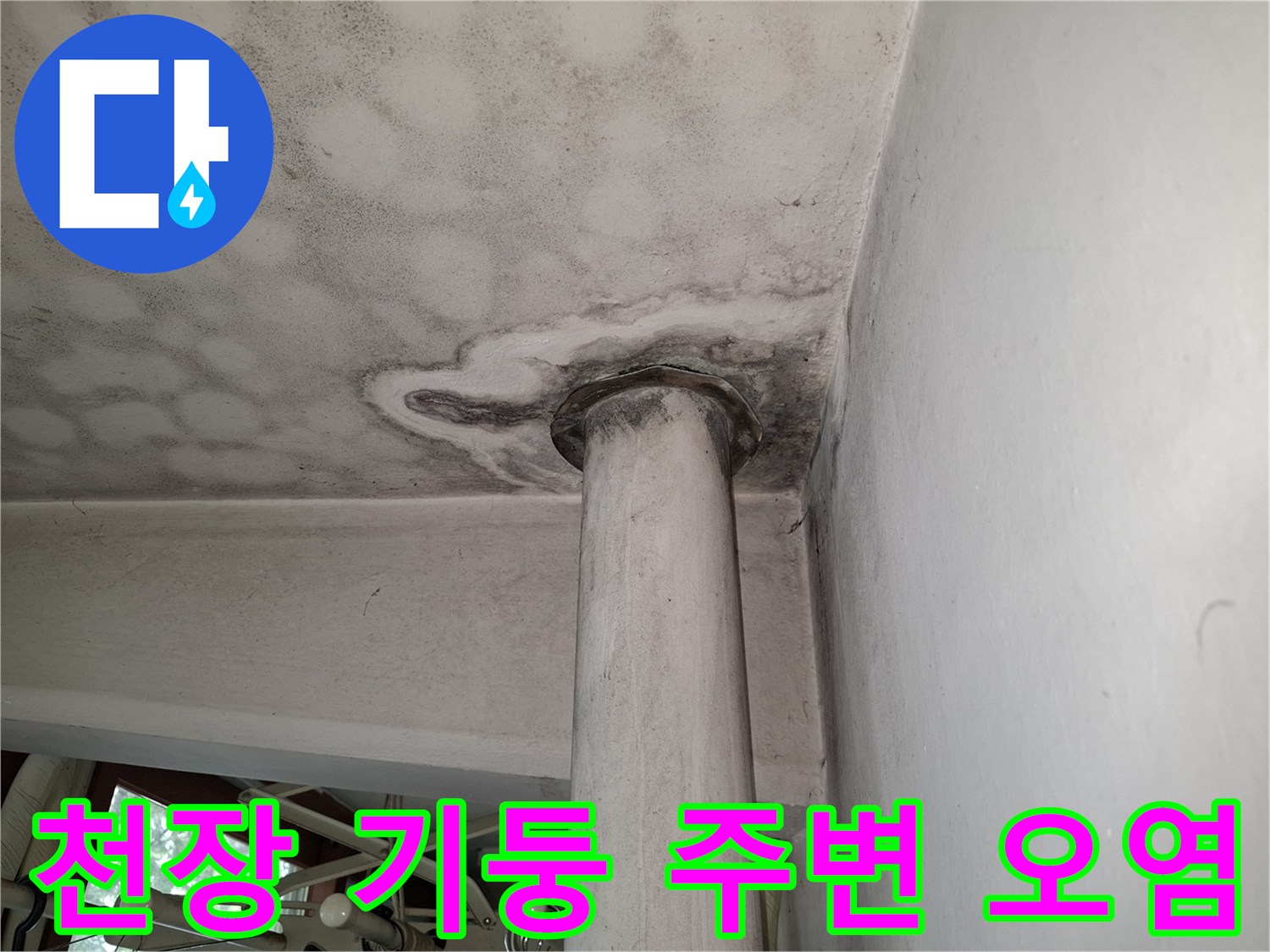 기둥 상단 천장면에 나타난 광범지한 누수 흔적과 곰팡이