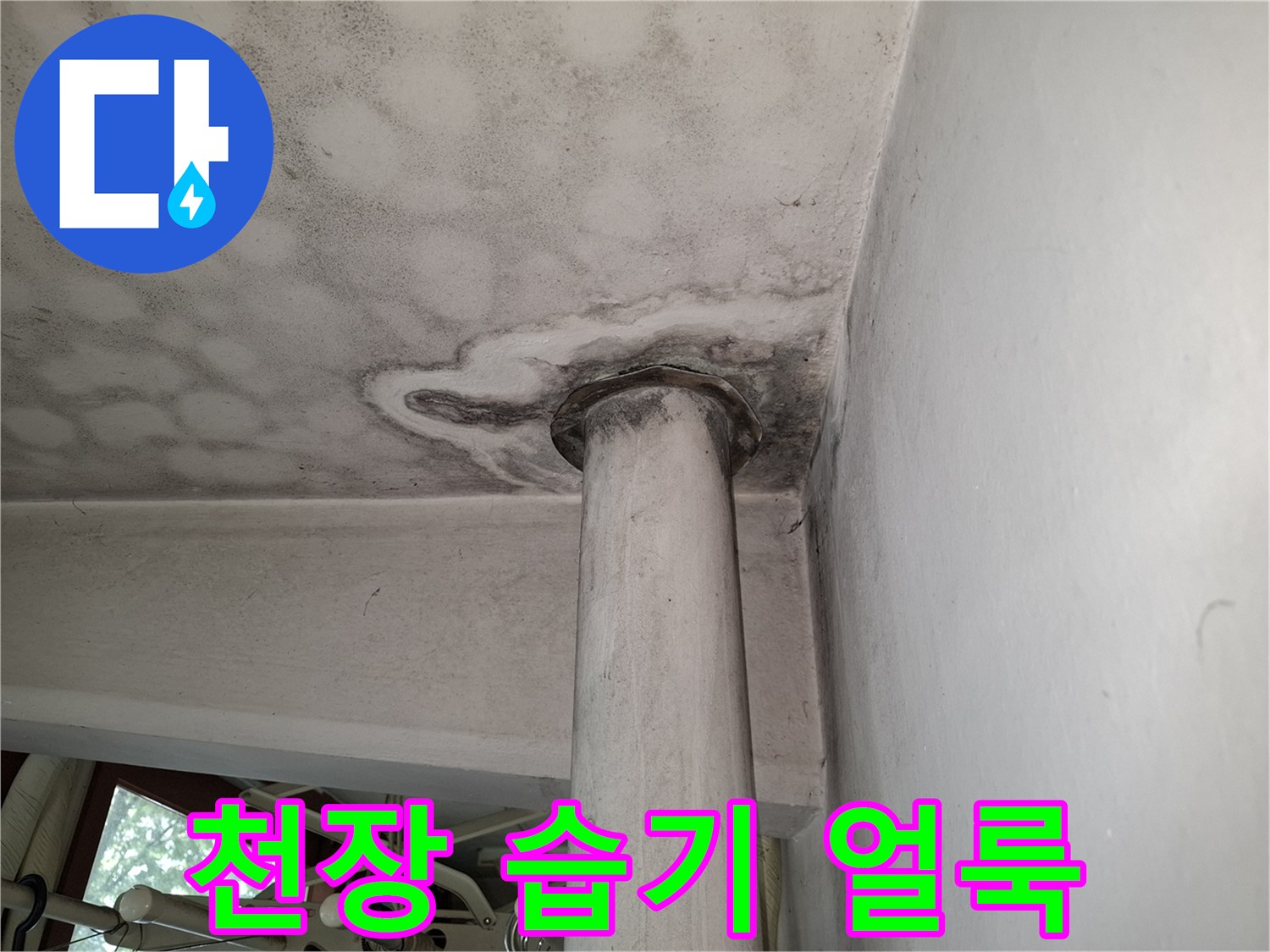 천장 면에 나타난 불규칙한 누수 흔적과 곰팡이