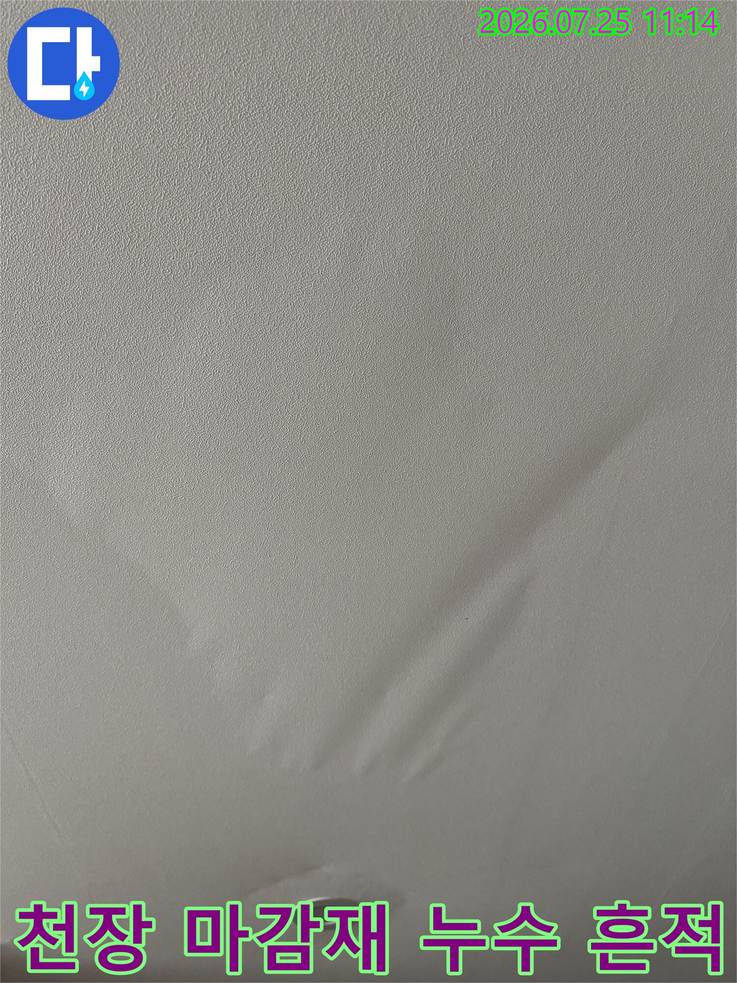 거실 천장 면에 발생한 물자국과 변색된 부분의 상세 사진