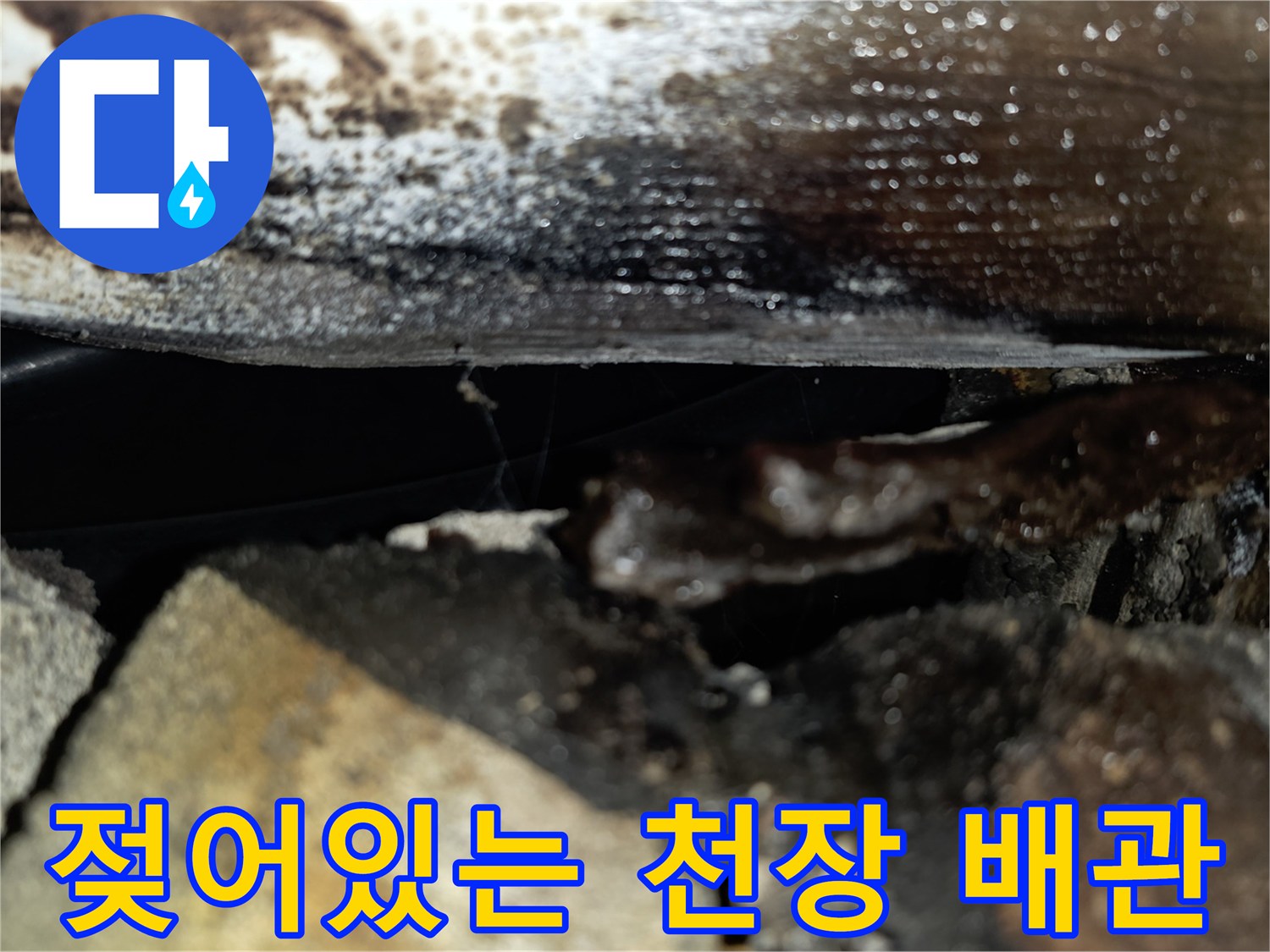 배관 주변의 검은 얼룩-천장 내부 습기 침투 부위