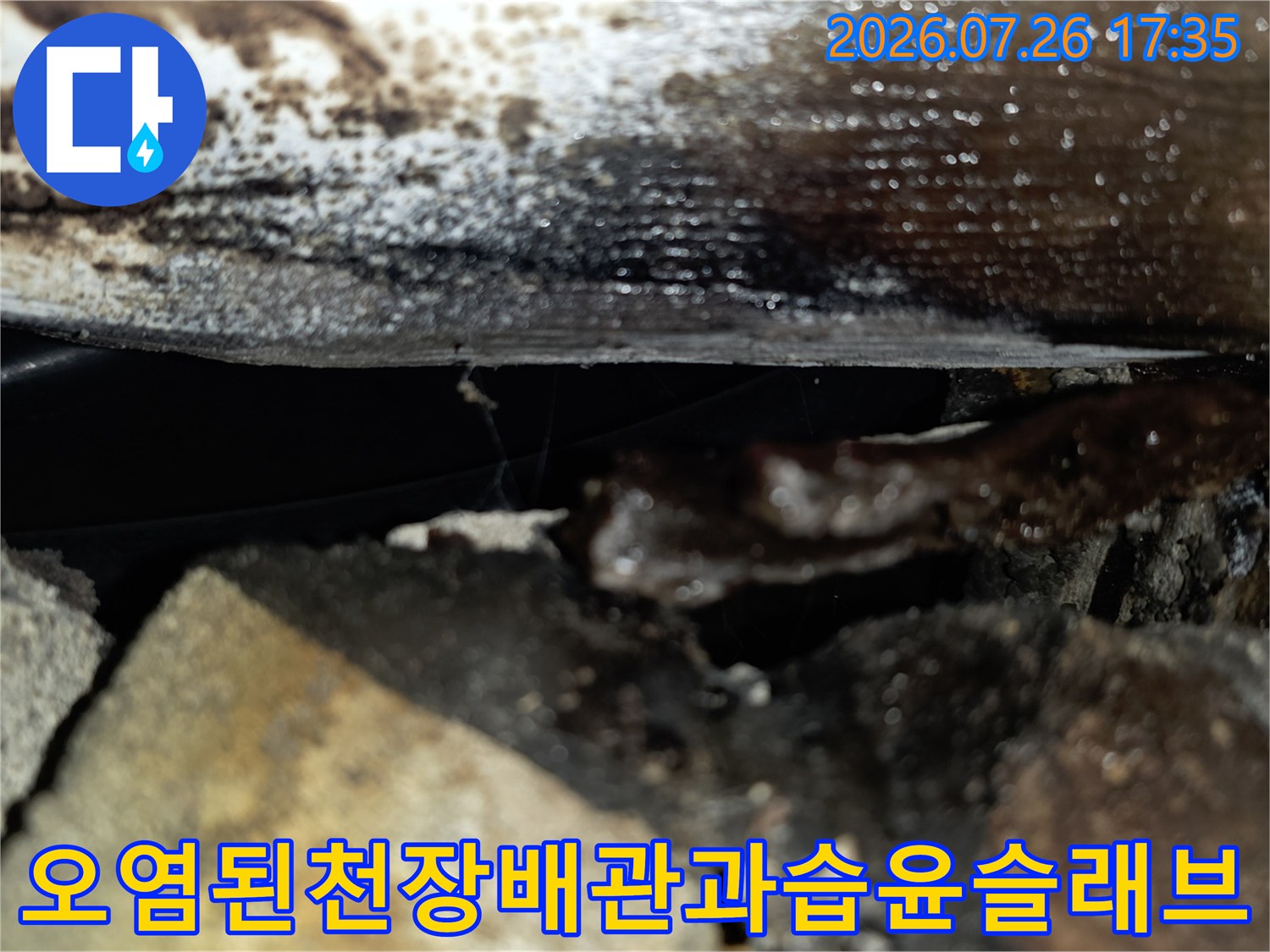 천장 슬래브의 젖은 표면-그리고 오염된 배관 주변의 모습